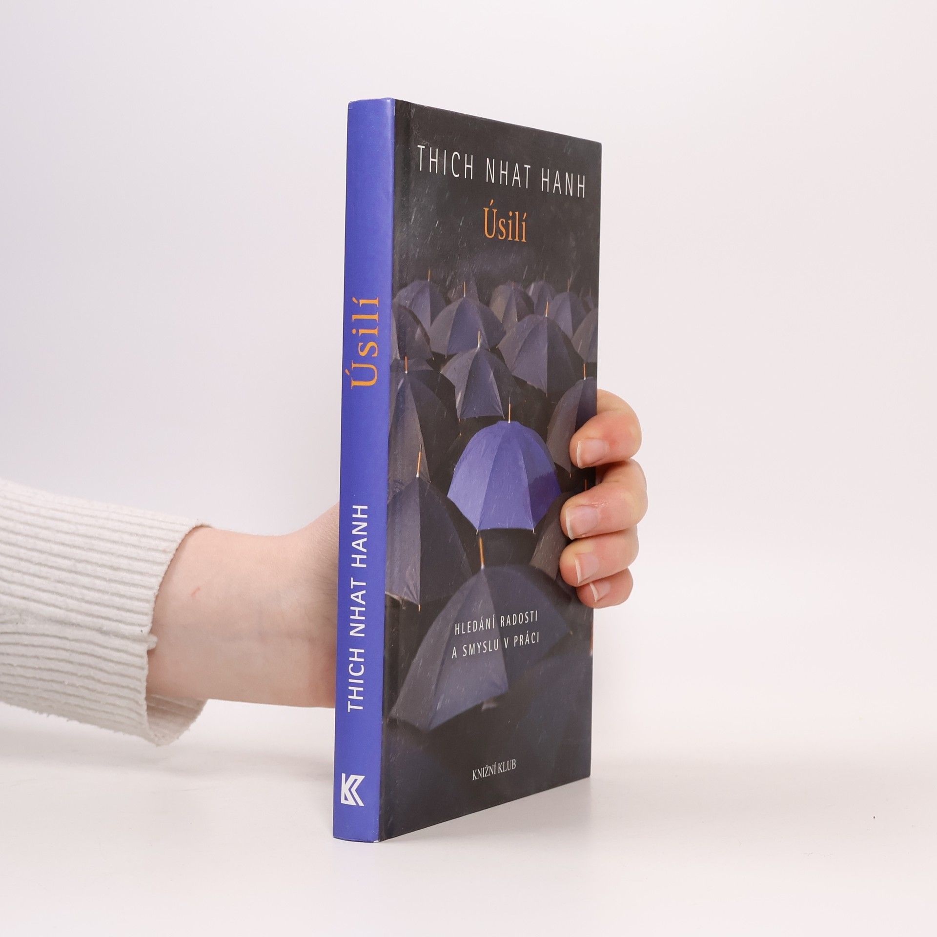 Hạnh Nhat Úsilí. Hledání radosti a smyslu v práci