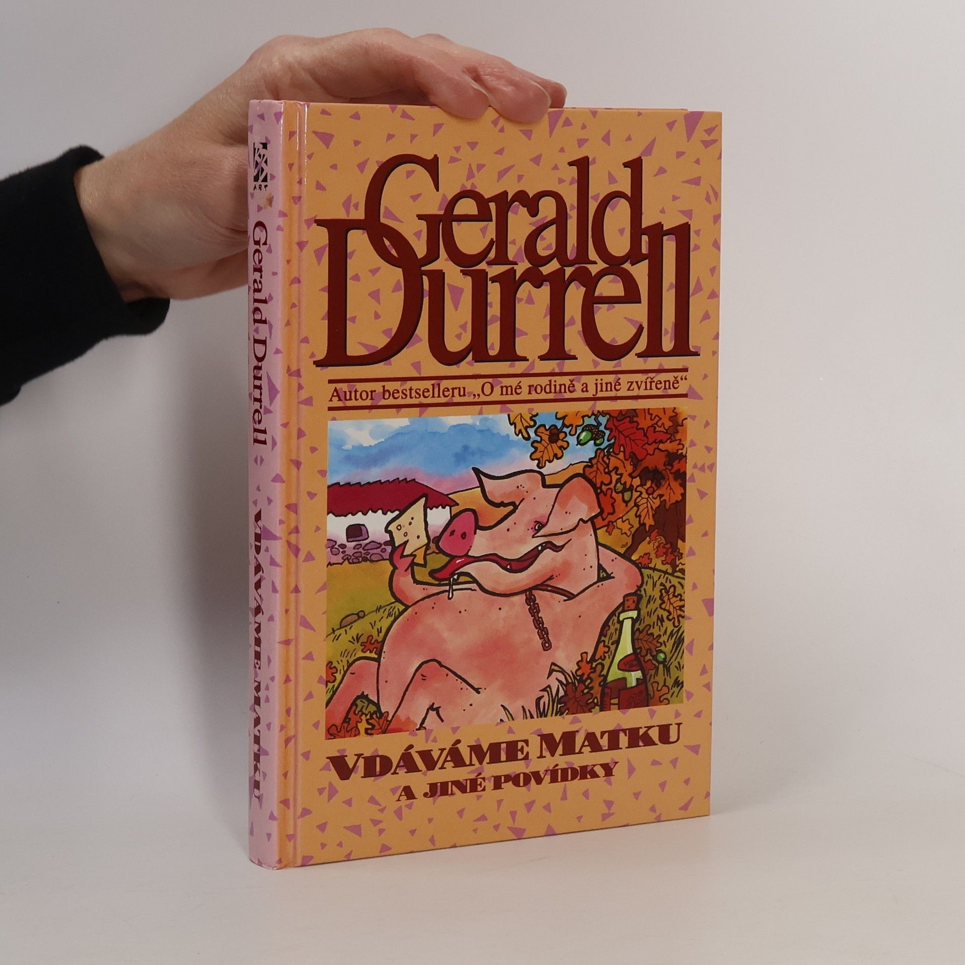 Vdáváme matku a jiné povídky