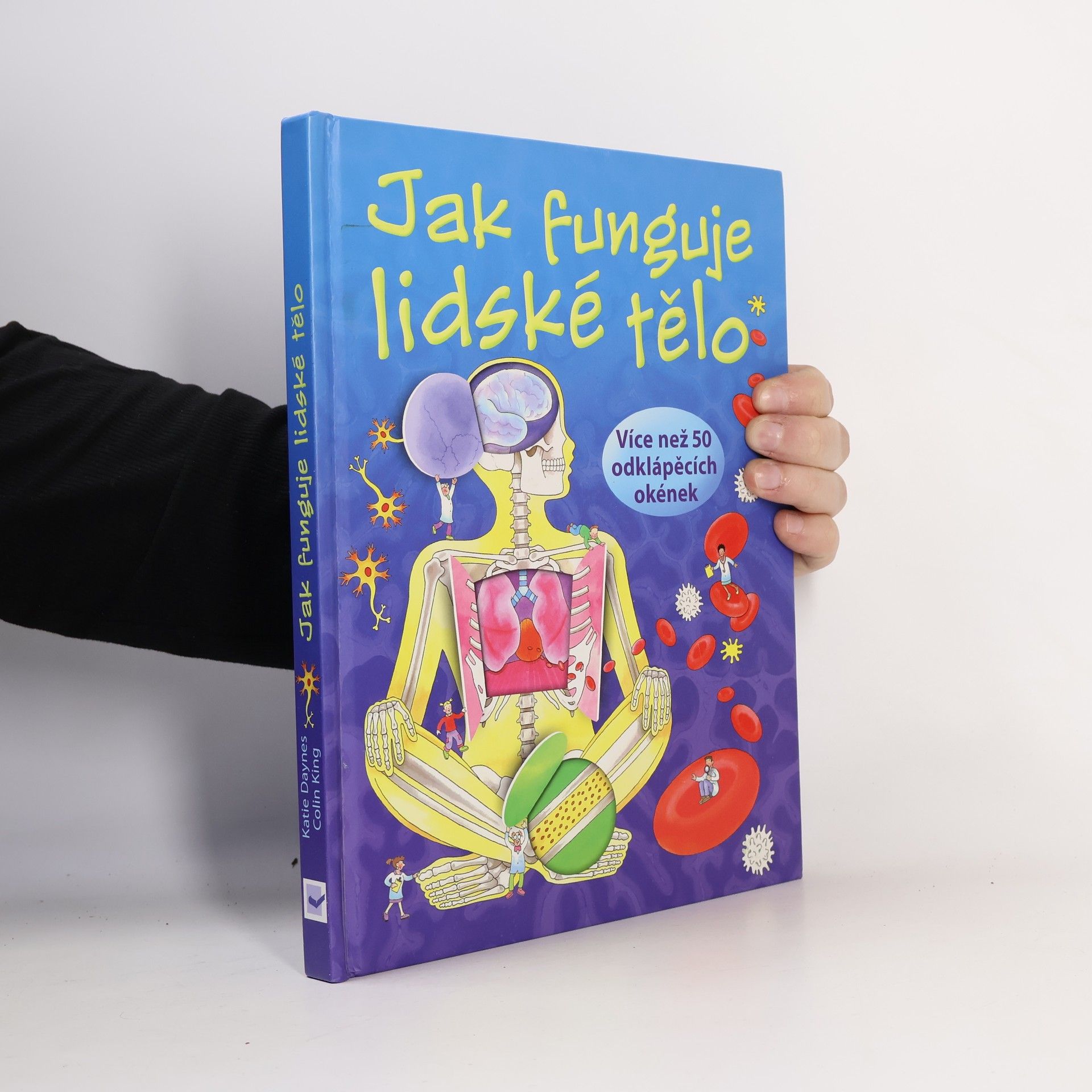 Katie Daynes Jak funguje lidské tělo