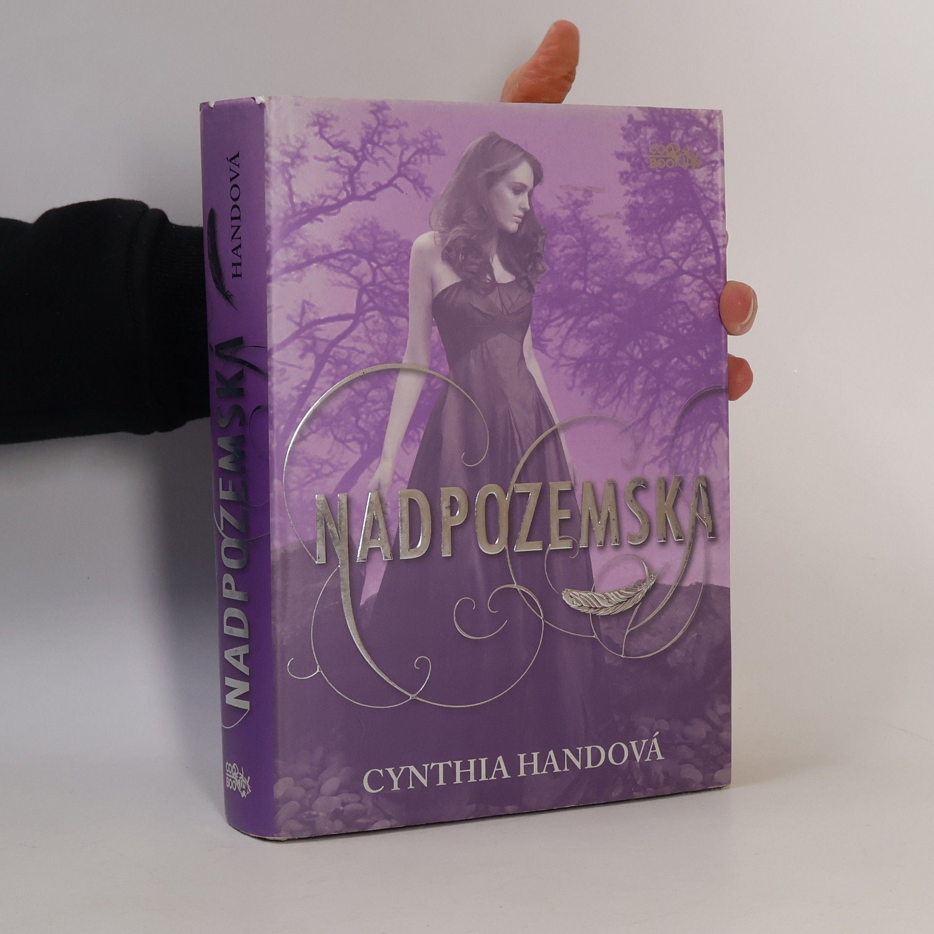 Cynthia Hand Nadpozemská. První díl