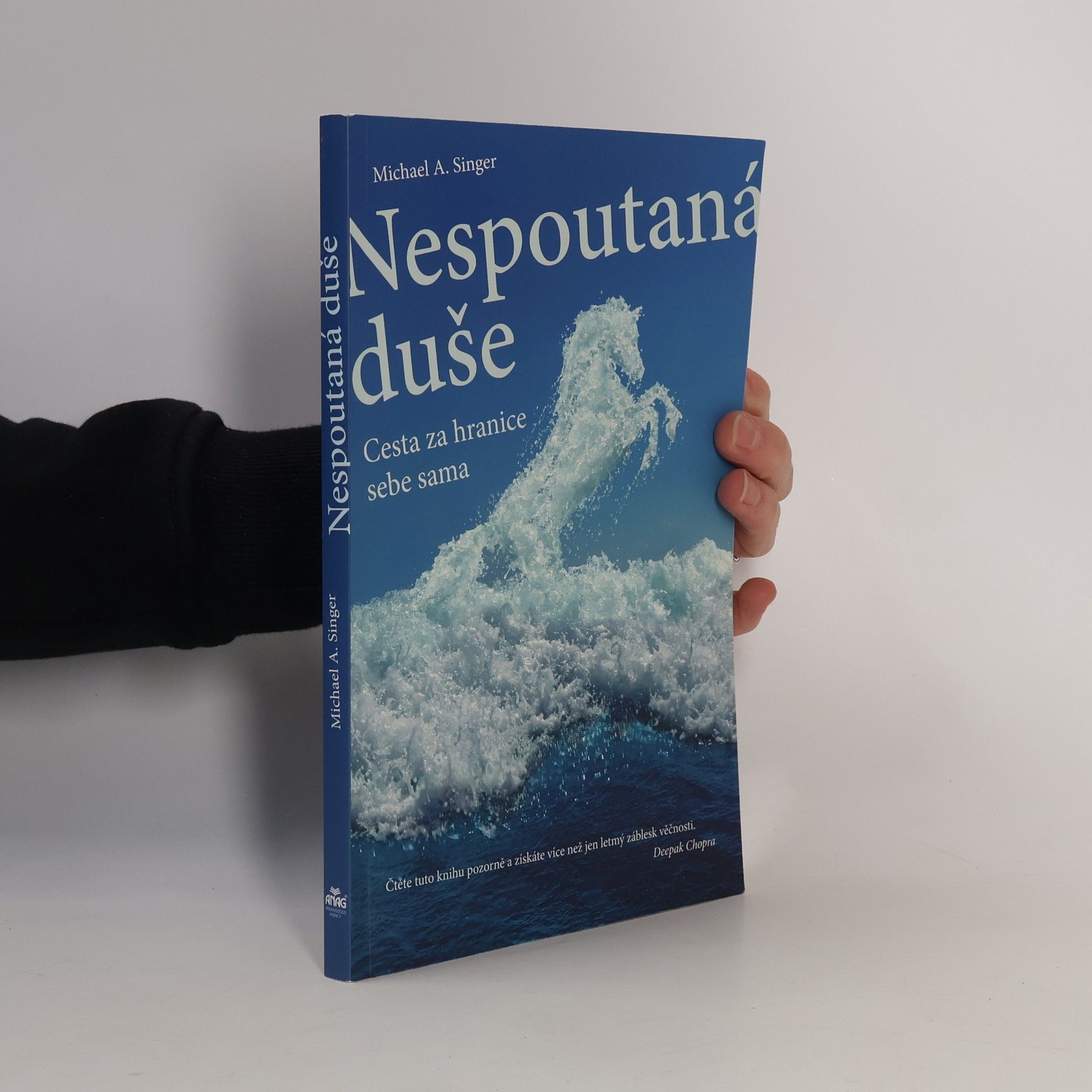 Michael A. Singer Nespoutaná duše