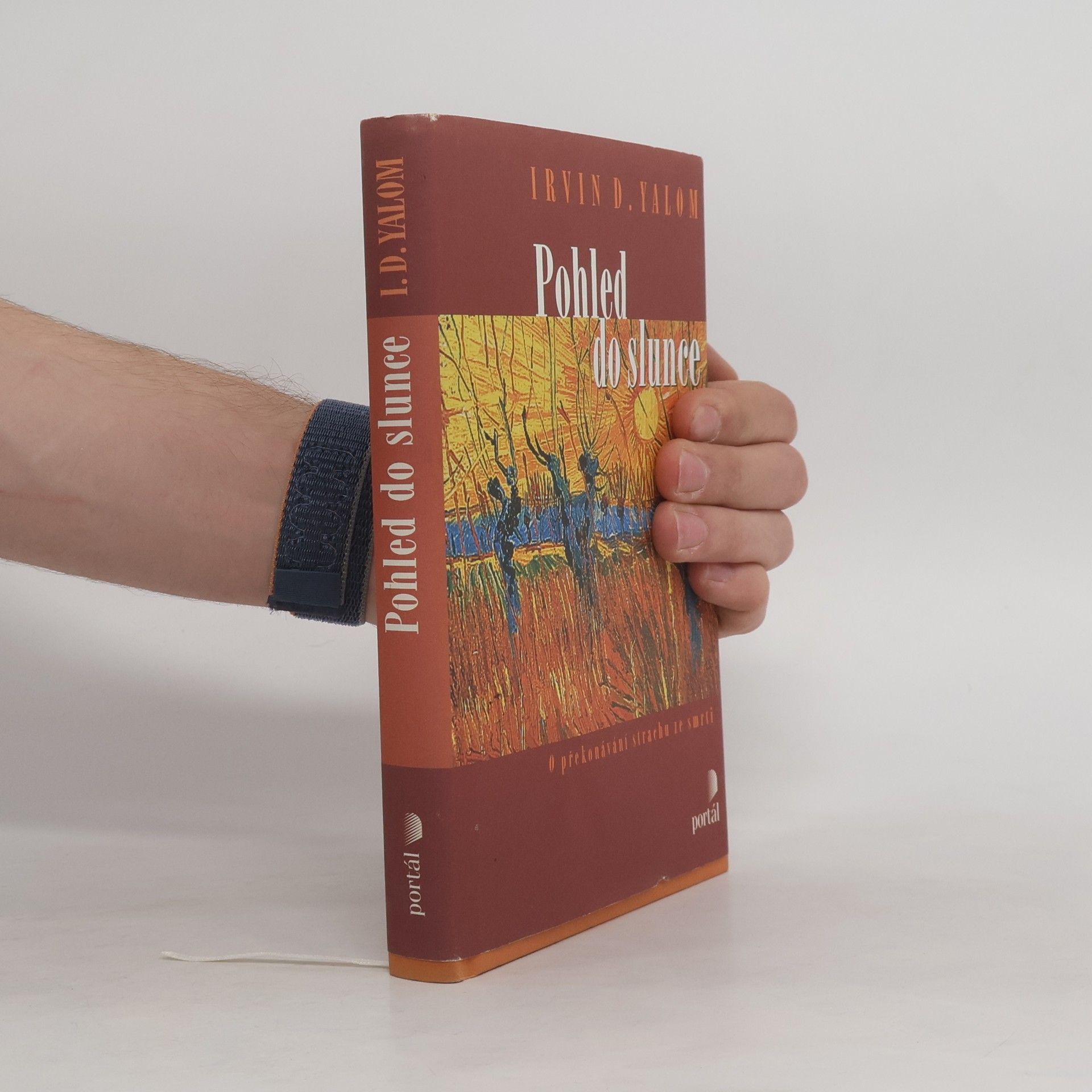 Irvin D. Yalom Pohled do slunce