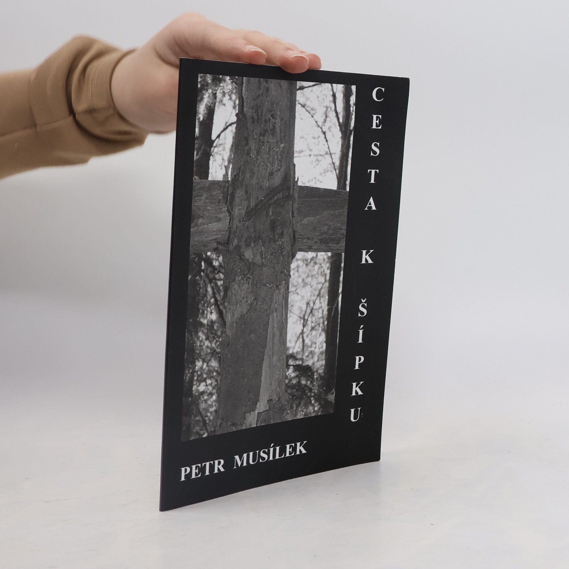 Petr Musílek Cesta k šípku