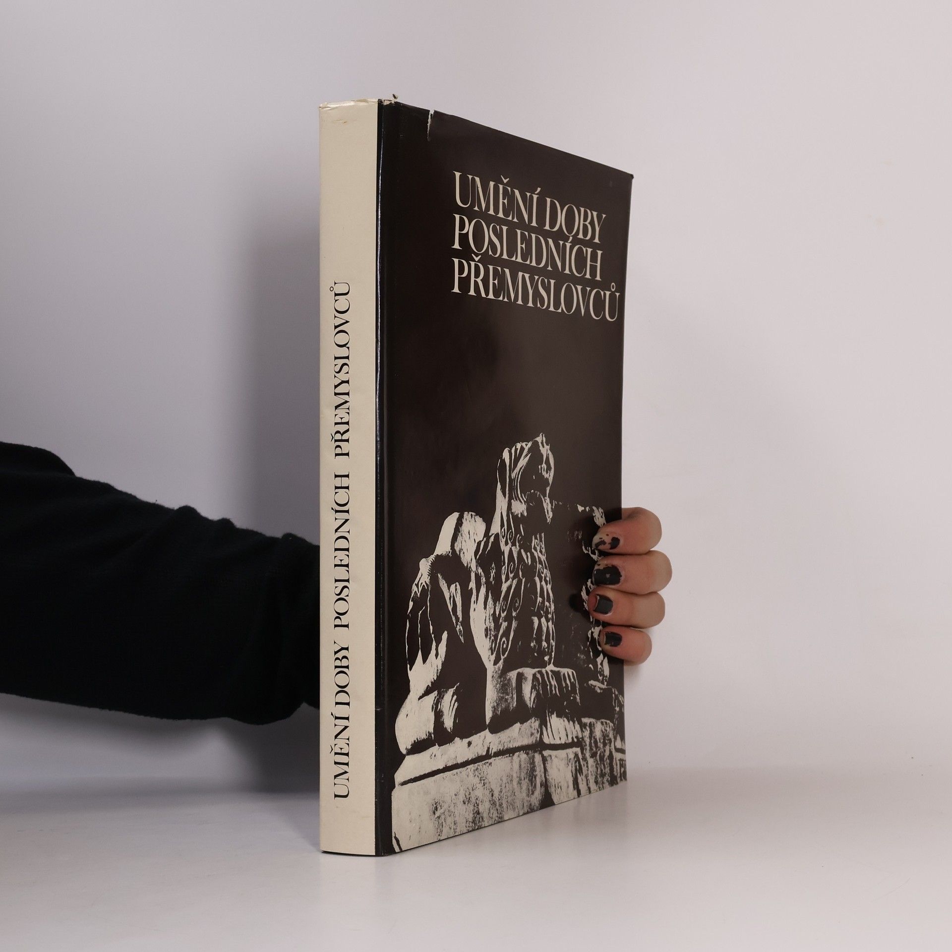 Jiří Dvorský Umění doby posledních Přemyslovců