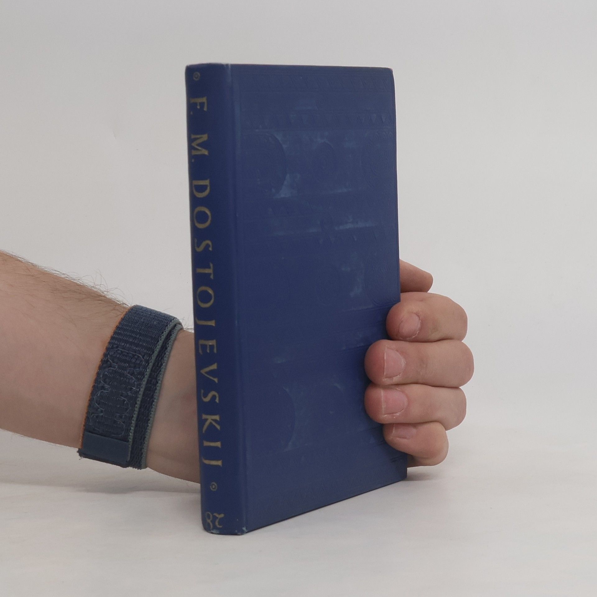 Fjodor Michailowitsch Dostojewski Deník spisovatelův za rok 1876