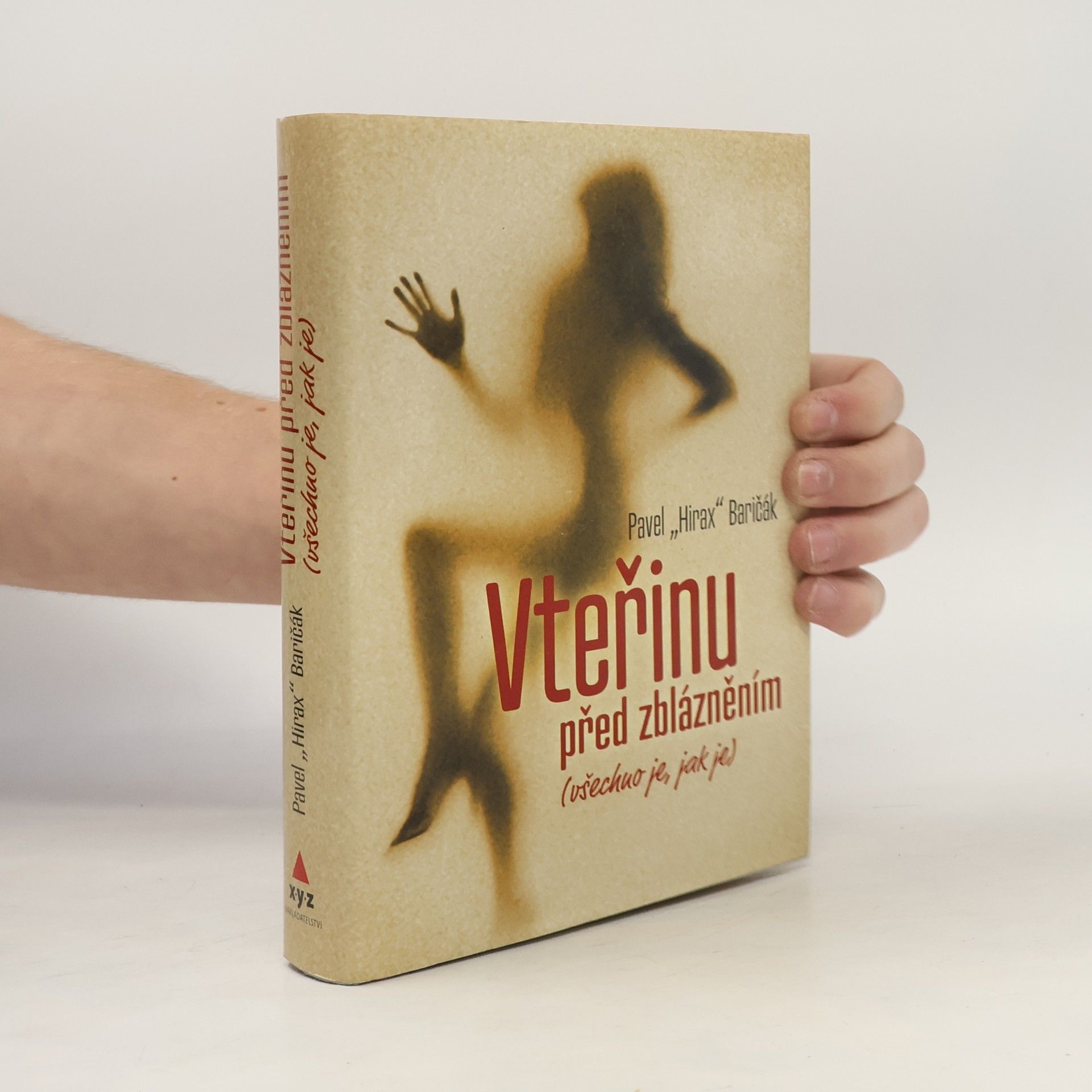 Pavel "Hirax" Baričák Vteřinu před zblázněním (všechno je, jak je)