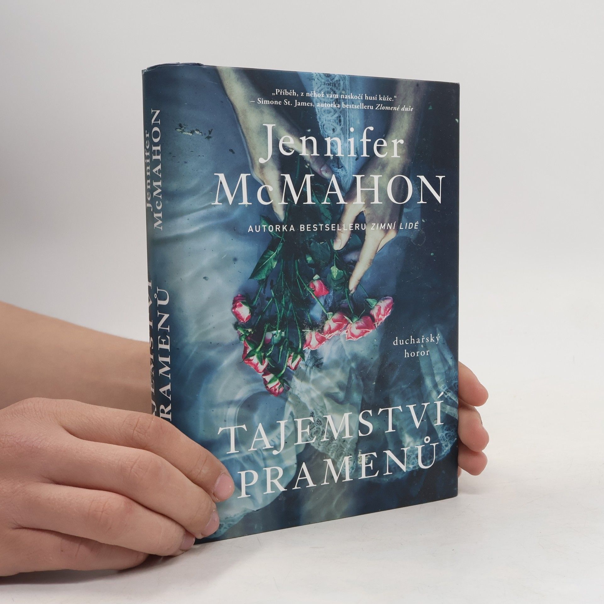 Jennifer McMahon Tajemství pramenů