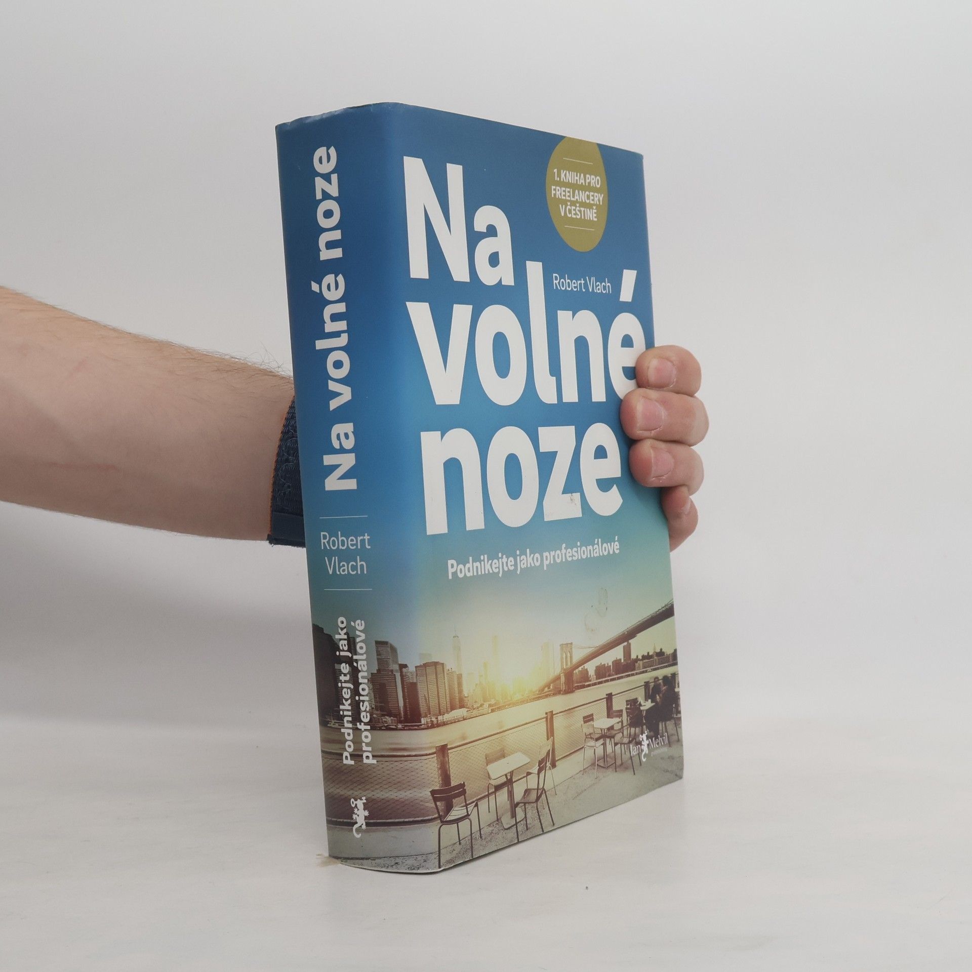 Robert Vlach (podnikatel) Na volné noze