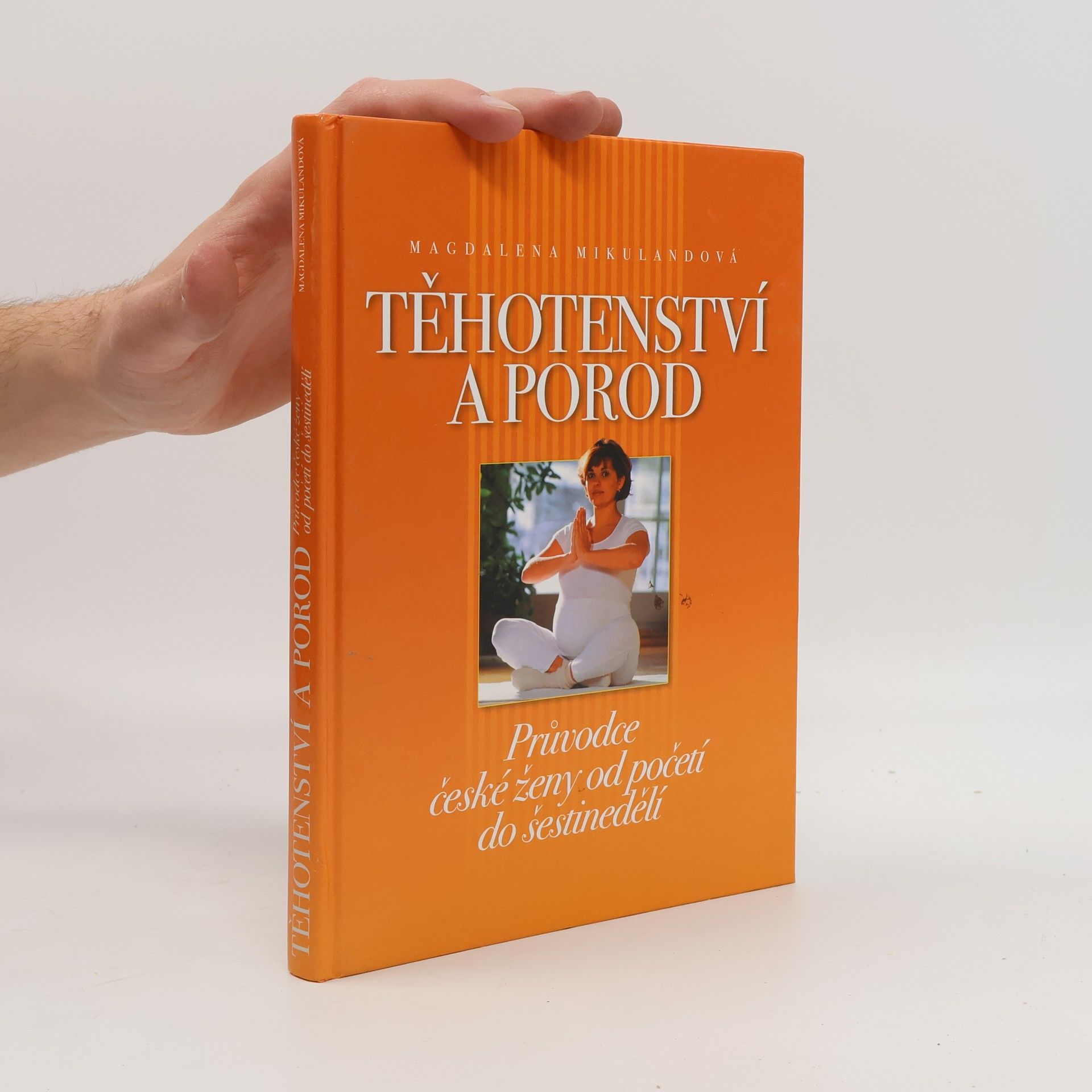 Magdalena Mikulandová Těhotenství a porod. Průvodce české ženy od početí do šestinedělí