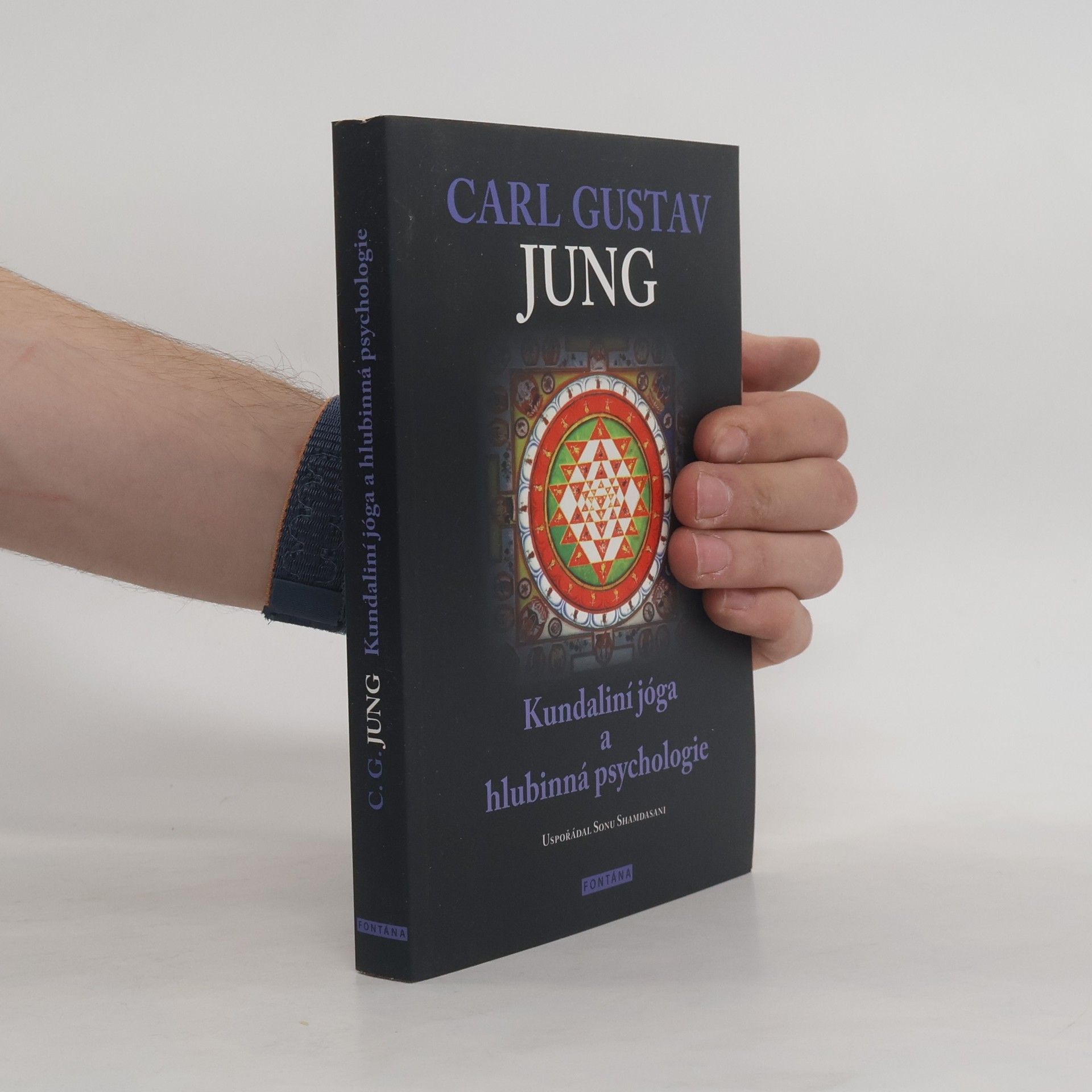 Michal Šubrt Kundaliní jóga a hlubinná psychologie : curyšské semináře z roku 1932