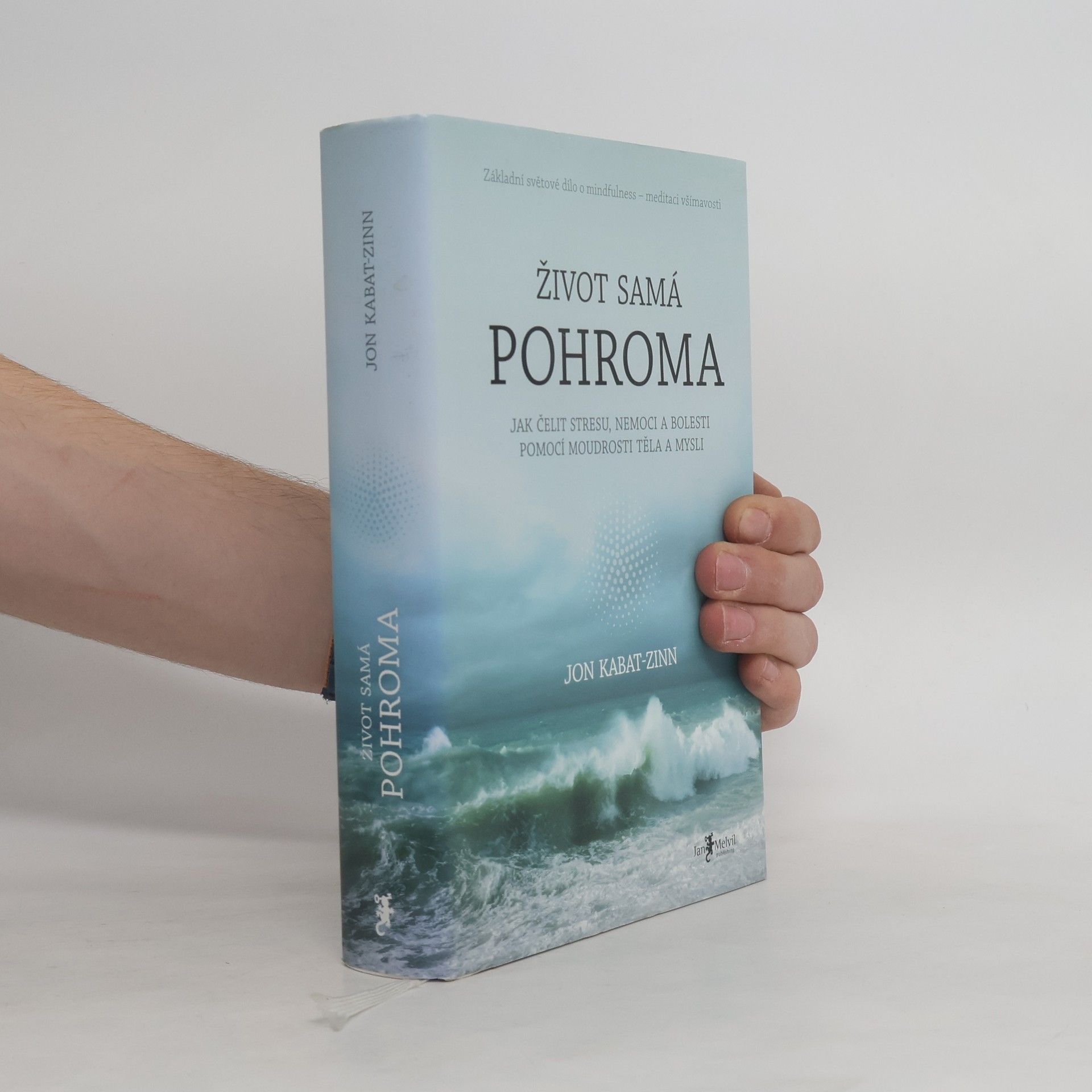 Jon Kabat-Zinn Život samá pohroma