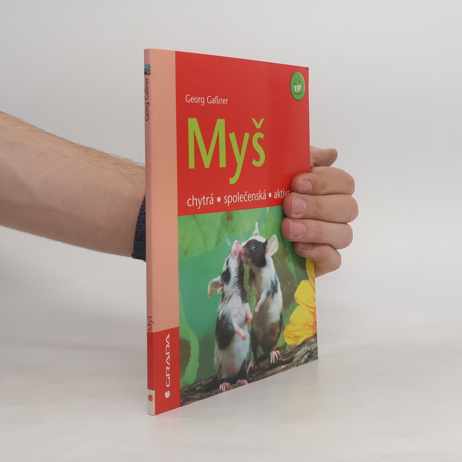 Georg Gaßner Myš : chytrá, společenská, aktivní