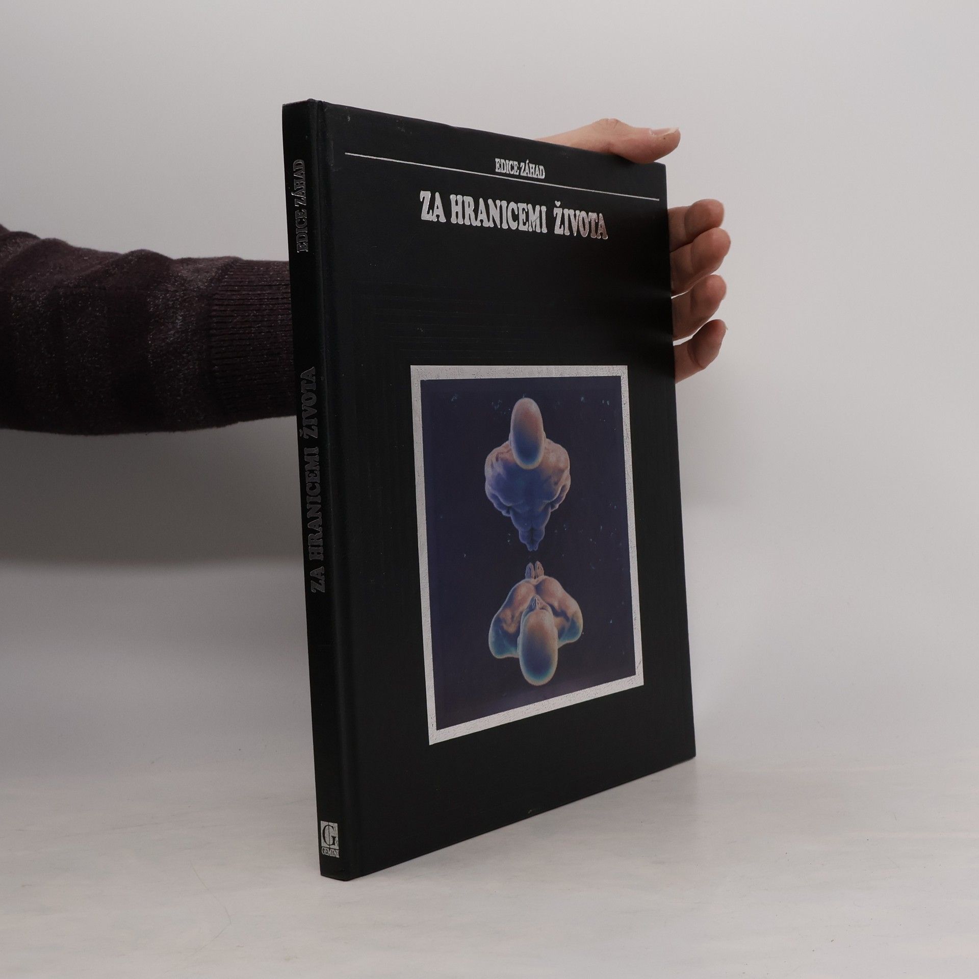 Laura Foreman Za hranicemi života