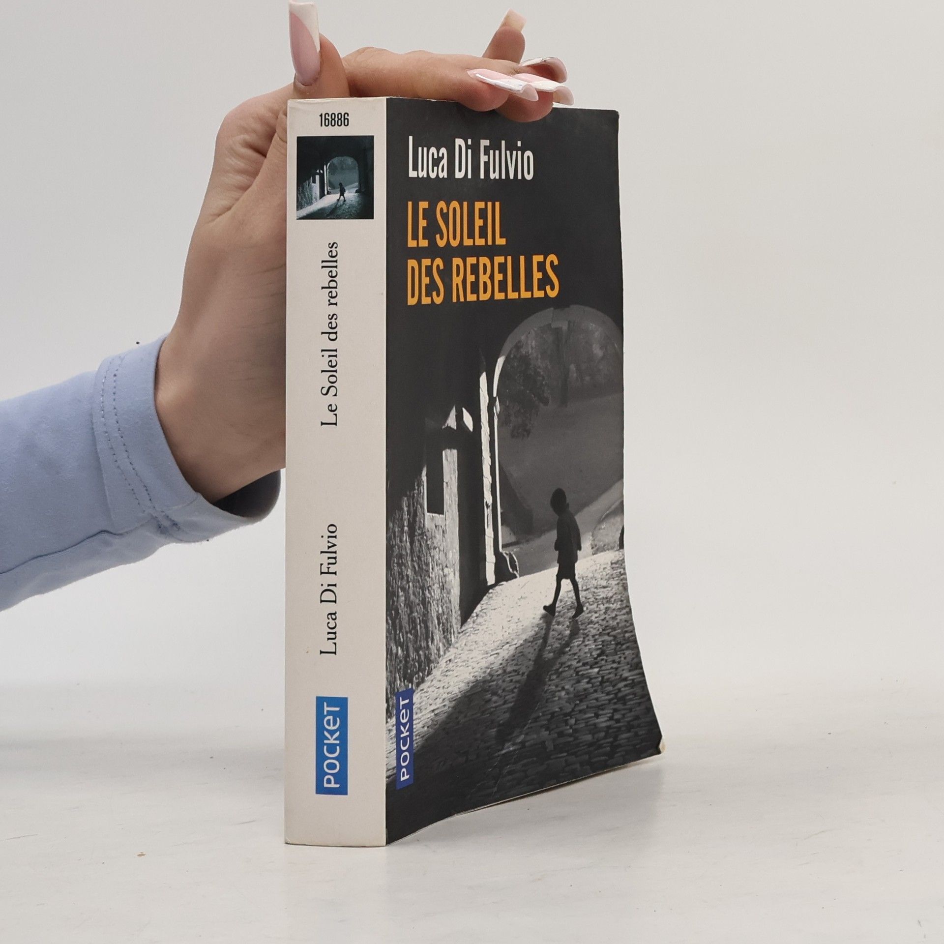 Luca Di Fulvio Le Soleil des rebelles