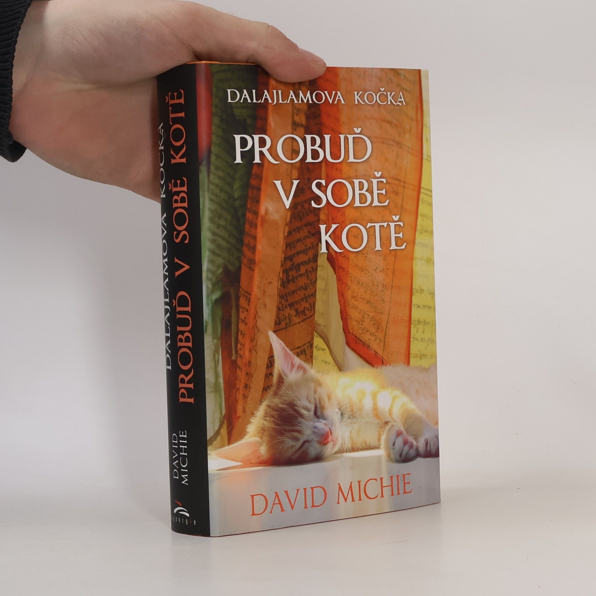David Michie Dalajlamova kočka - probuď v sobě kotě