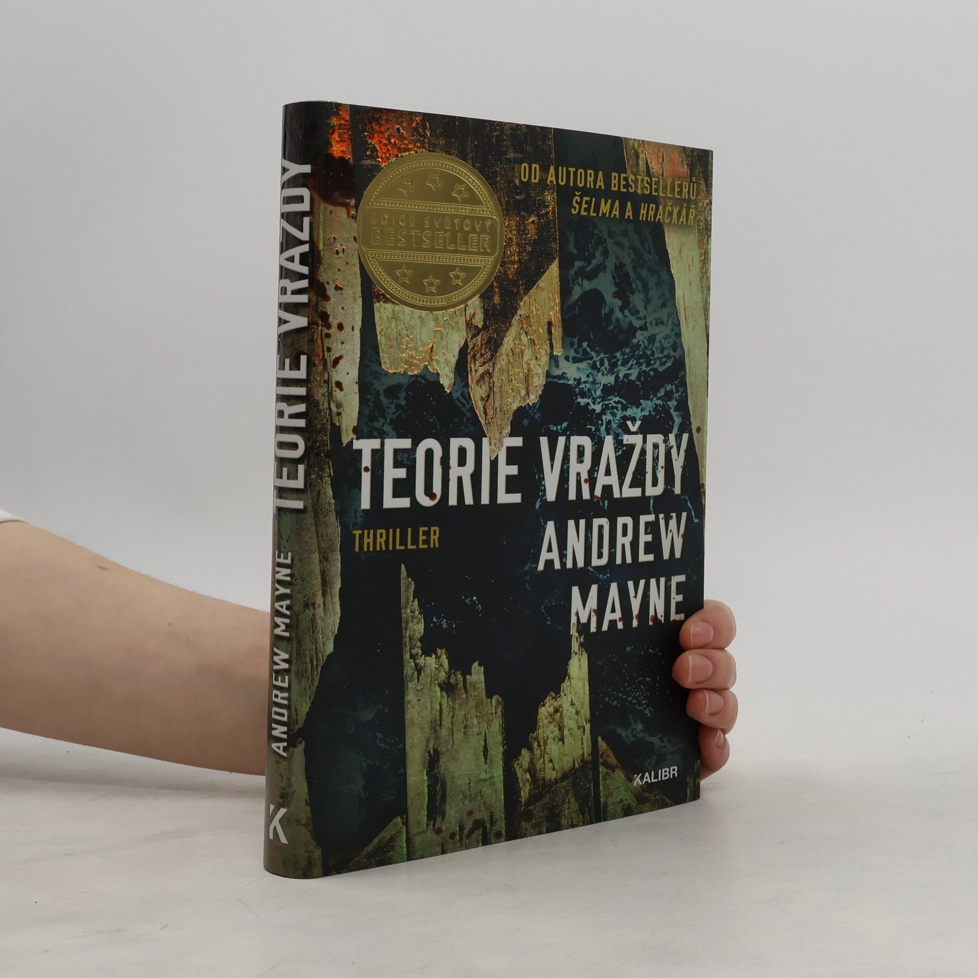 Andrew Mayne Teorie vraždy