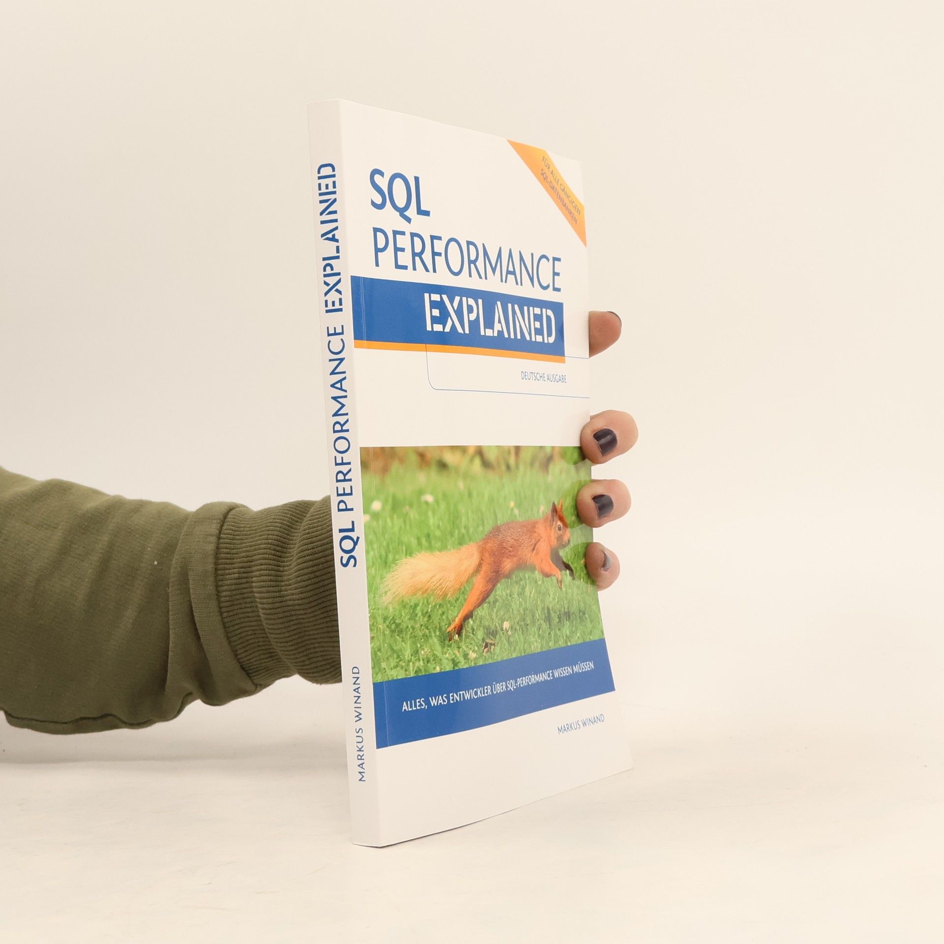 SQL Performance Explained