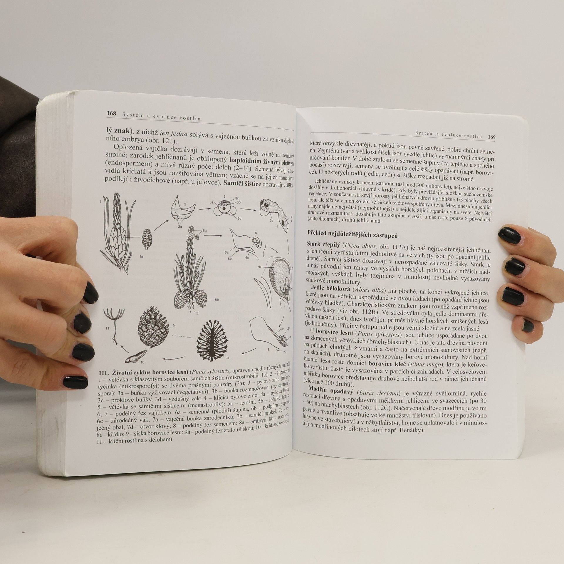 Lubomír Kincl Biologie rostlin: Pro 1. ročník gymnázií