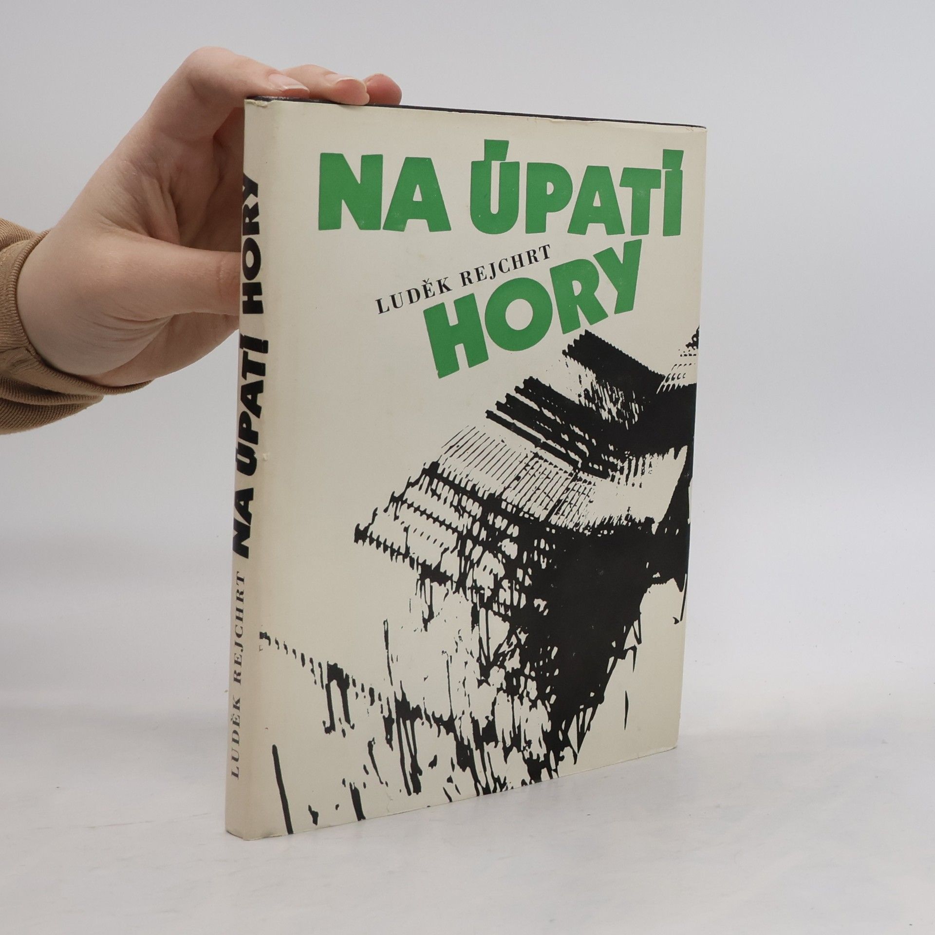 Luděk Rejchrt Na úpatí hory