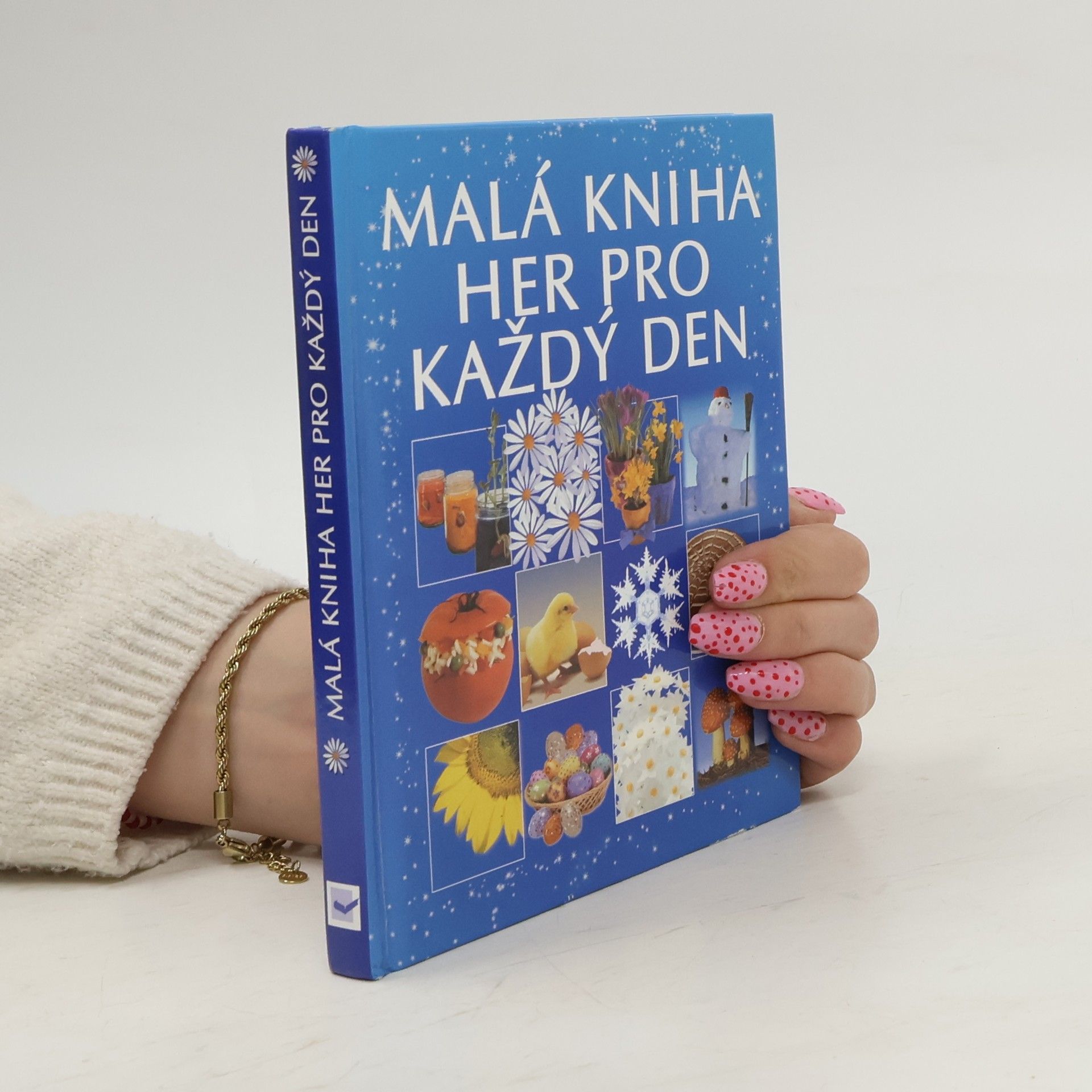 Dona Zalmanová Malá kniha her pro každý den