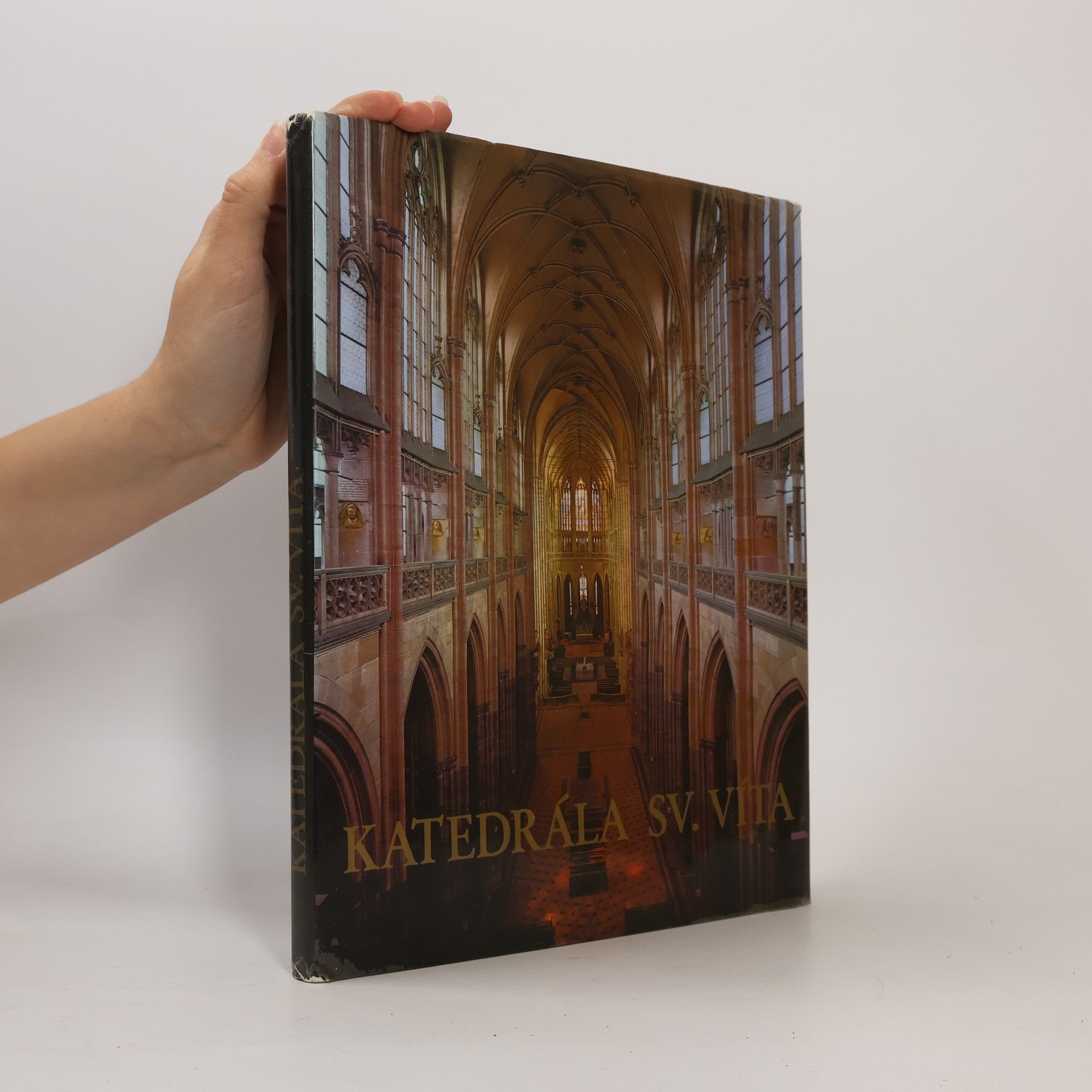 Jiří Burian Katedrála sv. Víta