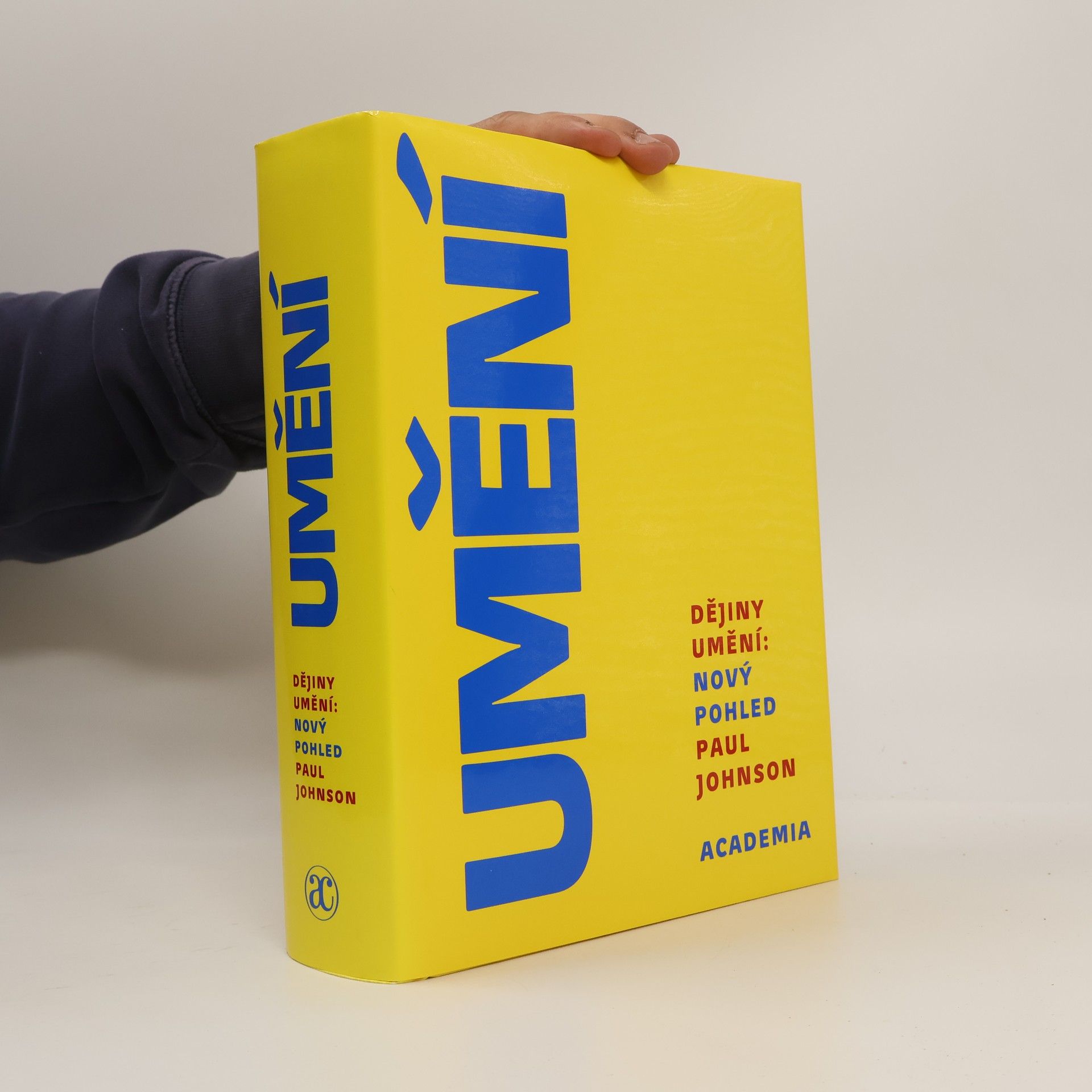 Paul Johnson Dějiny umění: Nový pohled