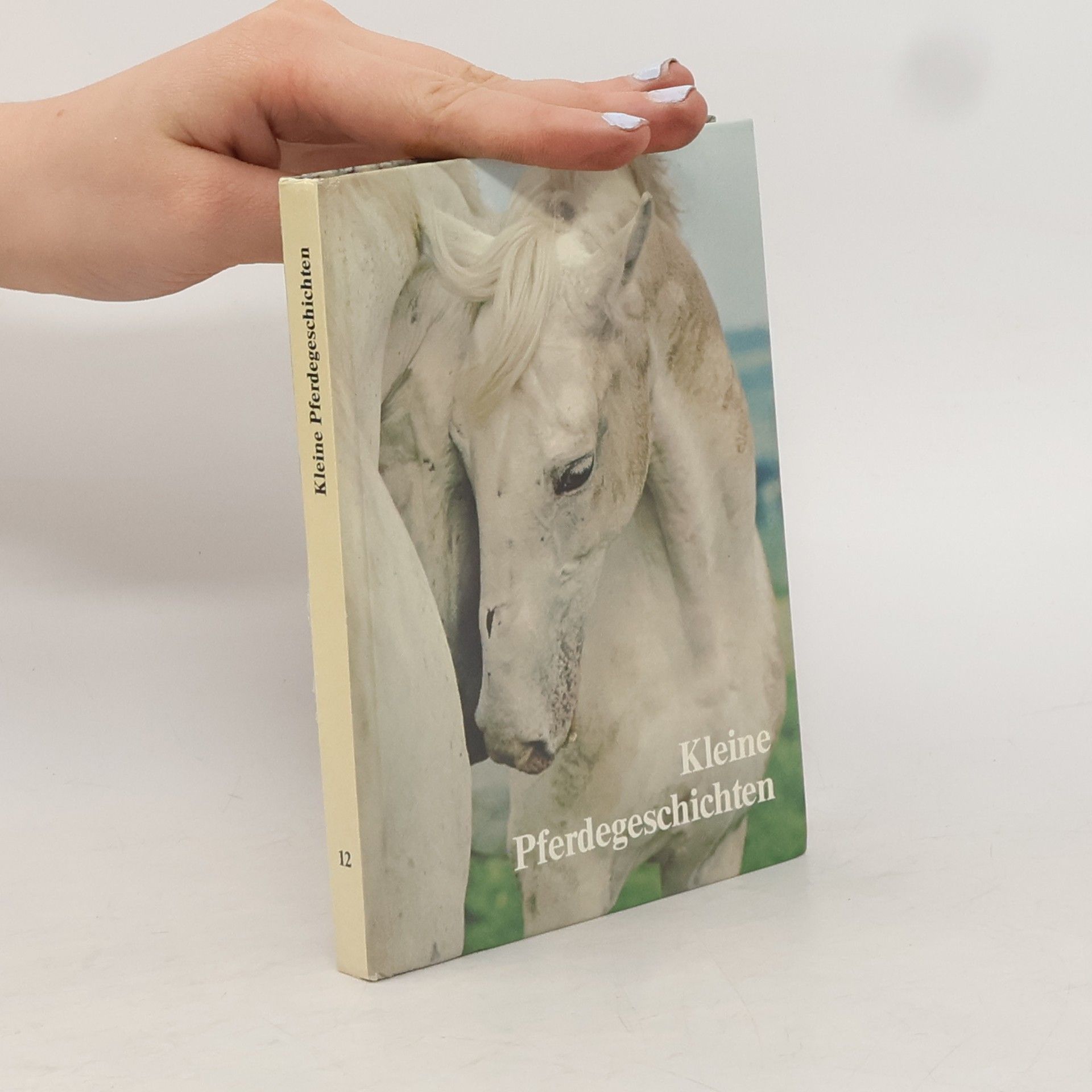 Auteurscollectief Kleine Pferdegeschichten 12