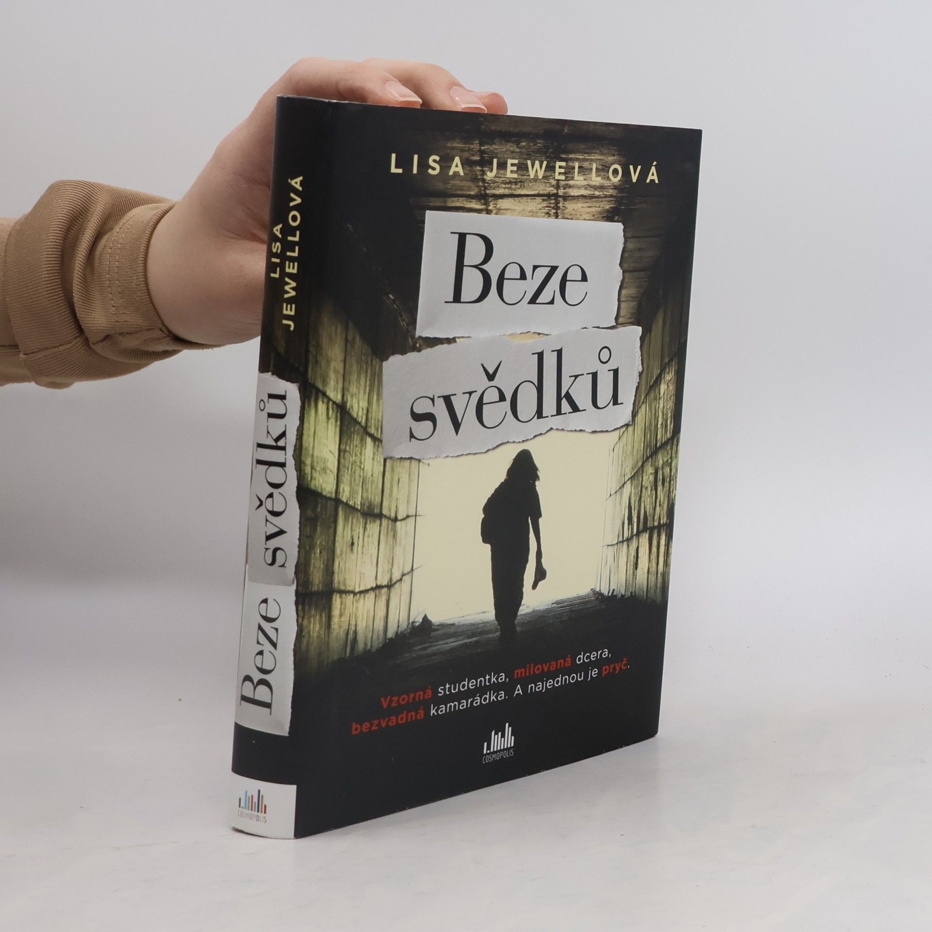 Lisa Jewell Beze svědků