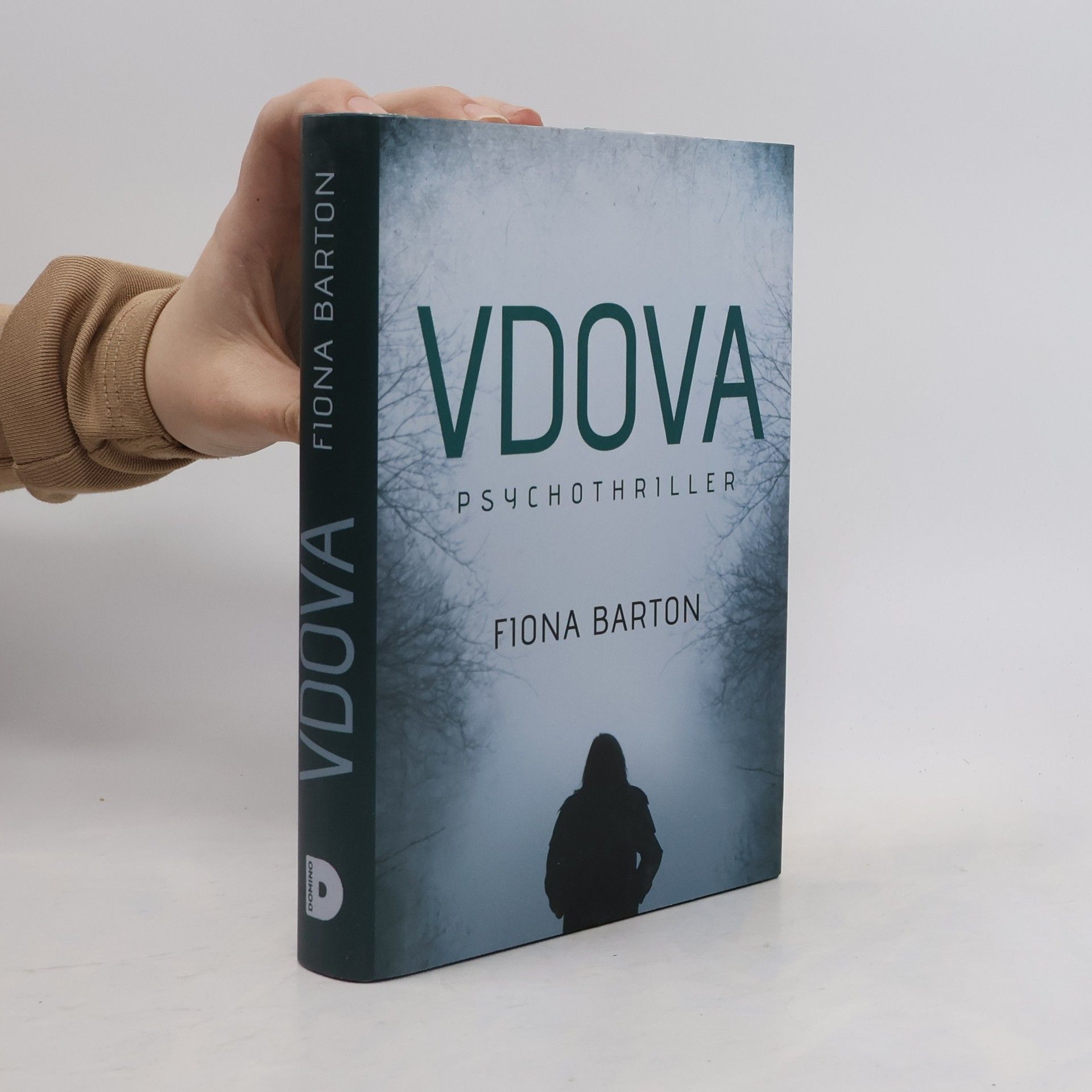 Fiona Barton Vdova