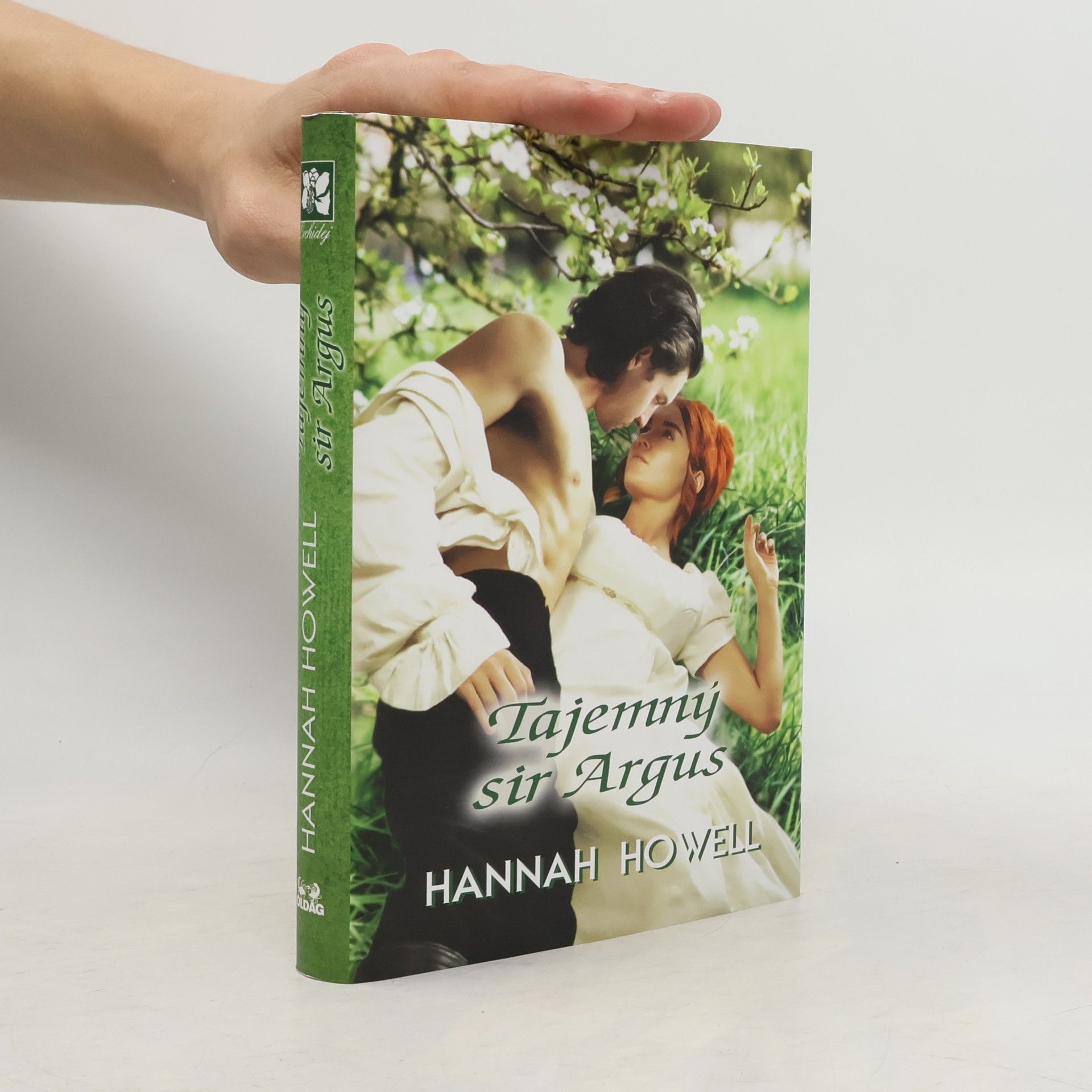 Hannah Howell Tajemný sir Argus