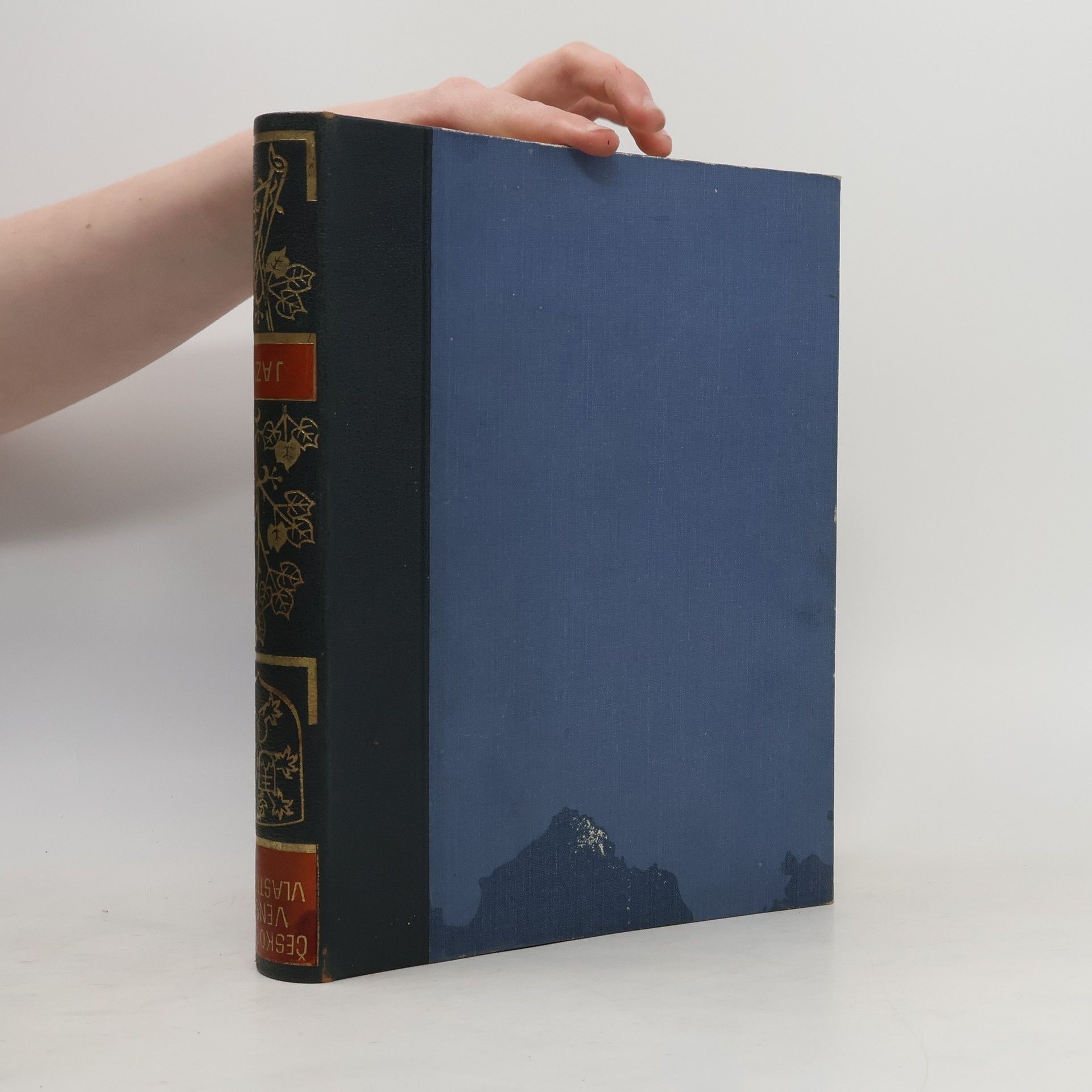 Kolektiv autorů Československá vlastivěda 3. Jazyk