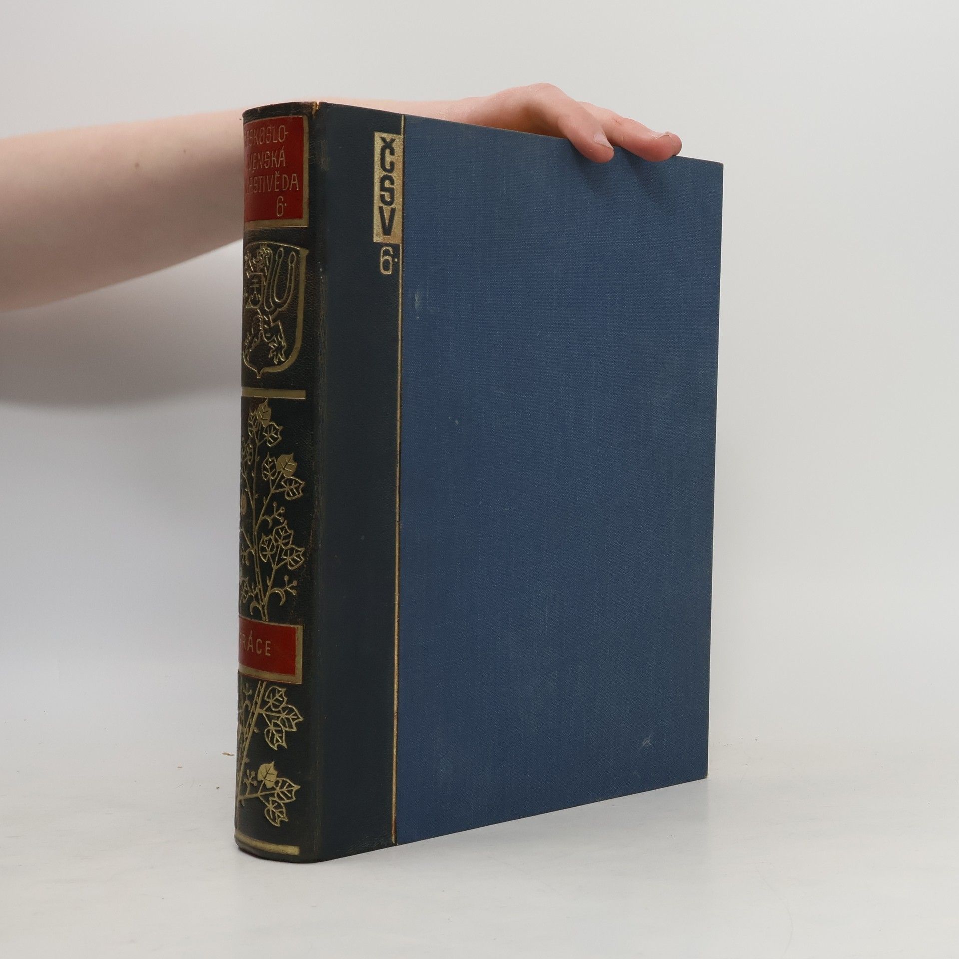 Autorenkollektiv Československá vlastivěda díl VI. PRÁCE