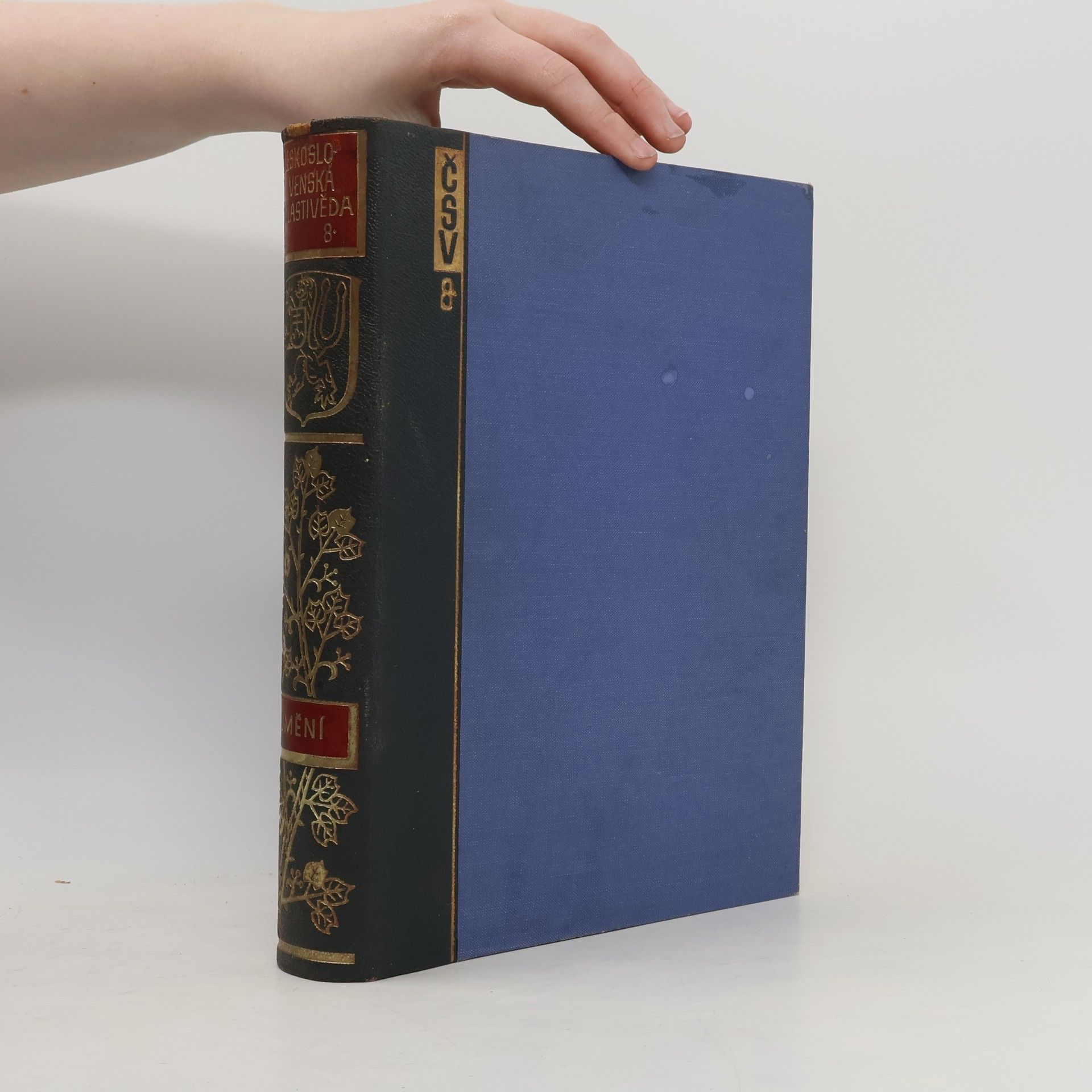 Stanislav Jareš Československá vlastivěda VIII. Umění