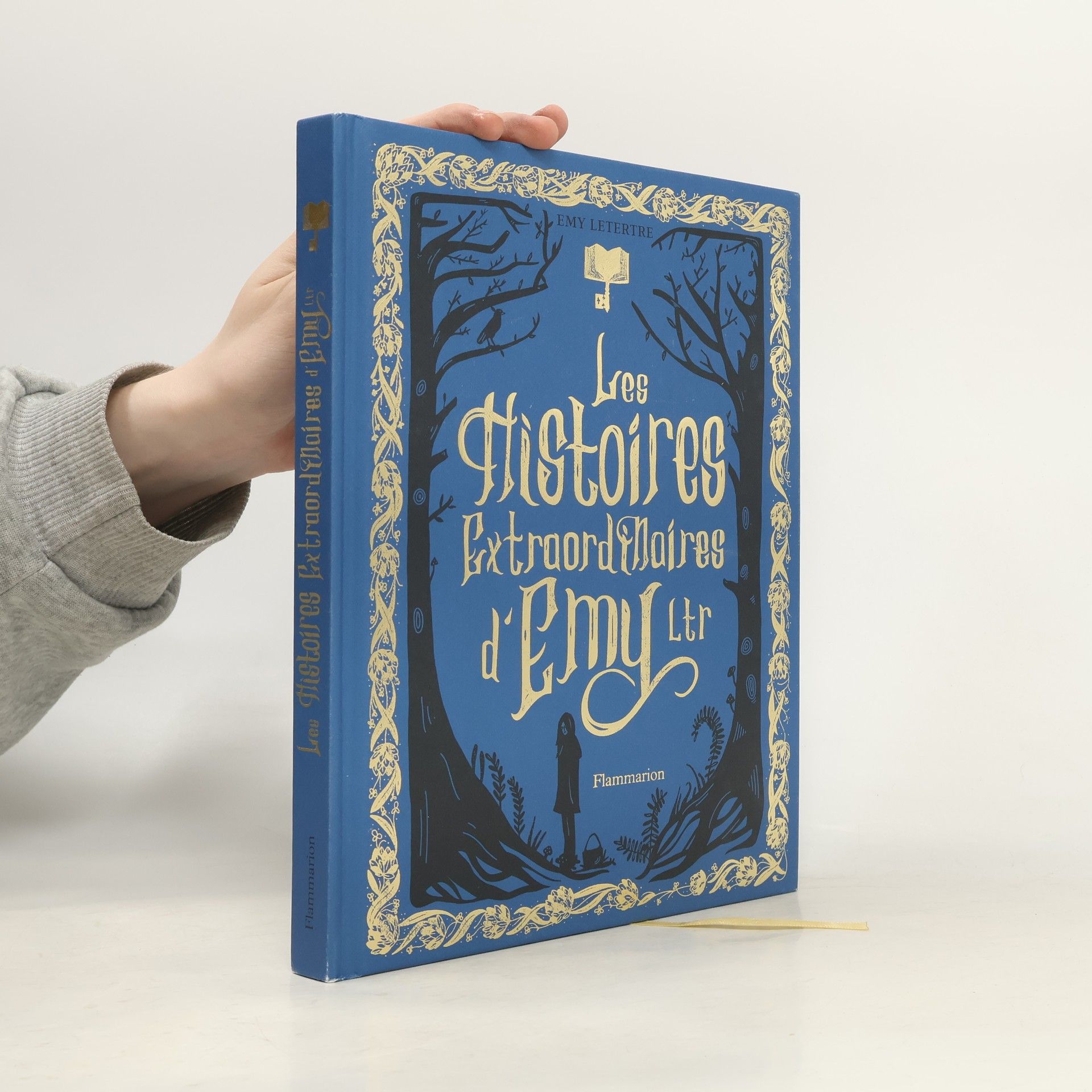 Emy Letertre Les histoires extraordinaires d'Emy Ltr