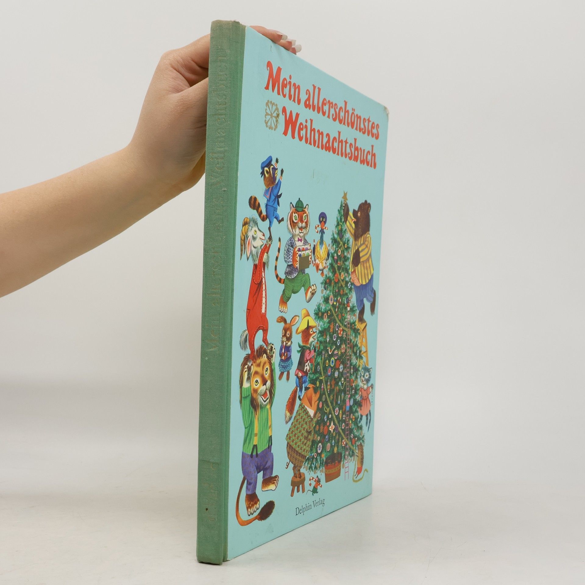 Autorenkollektiv Mein allerschönstes Weihnachtsbuch