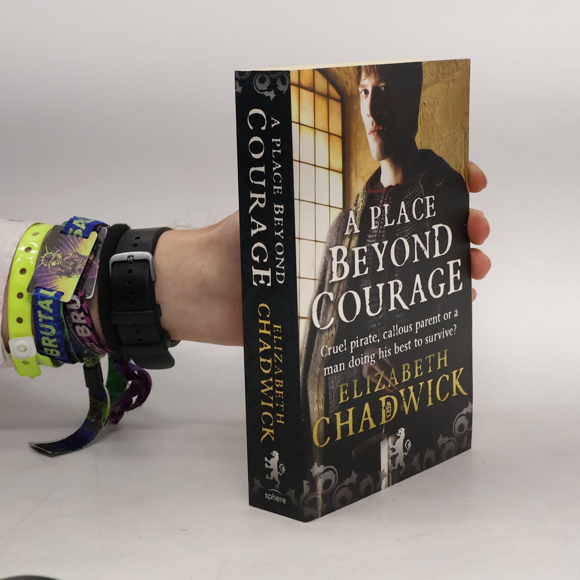 Elizabeth Chadwick A Place Beyond Courage