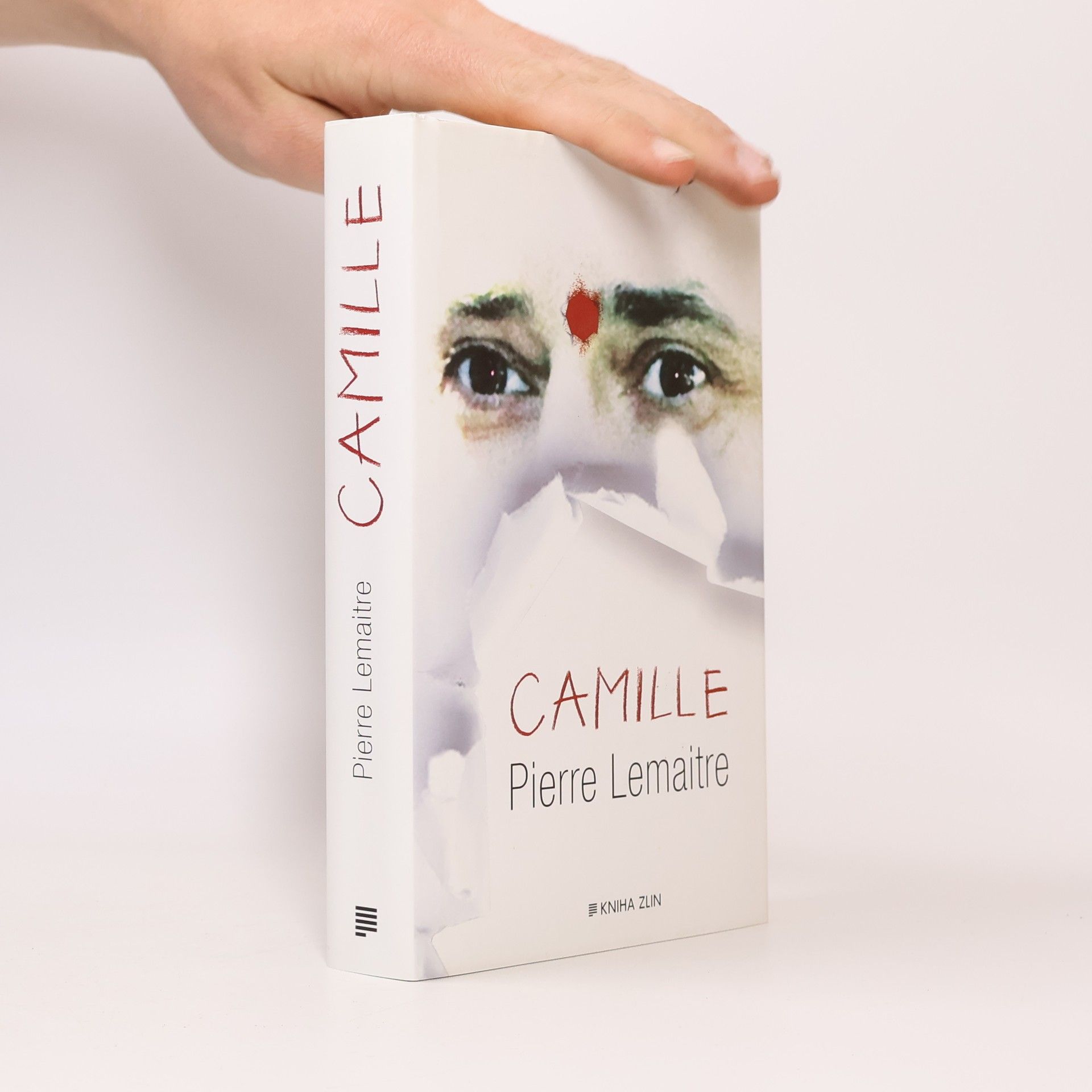 Pierre Lemaitre Camille