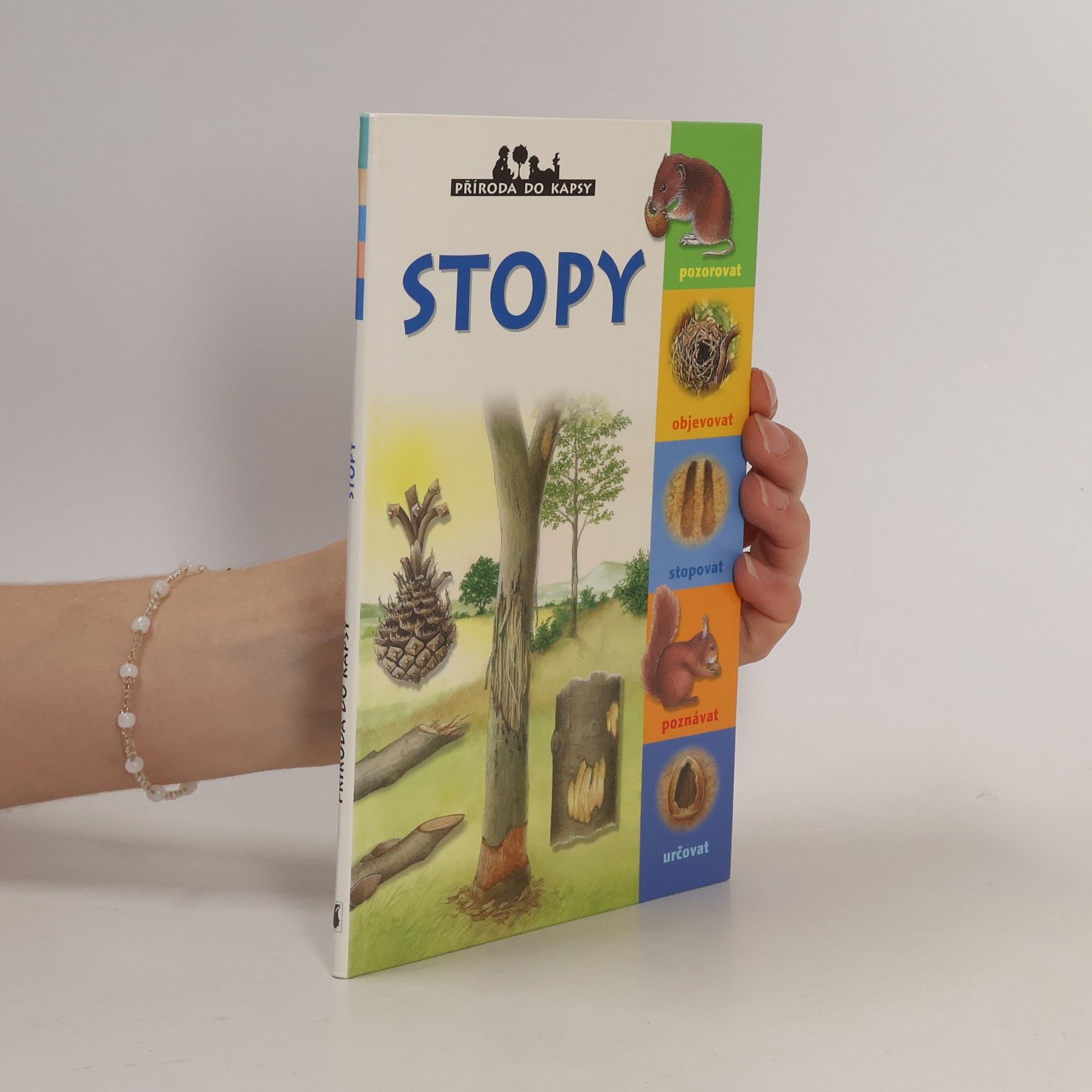 Frédéric Lisak Stopy