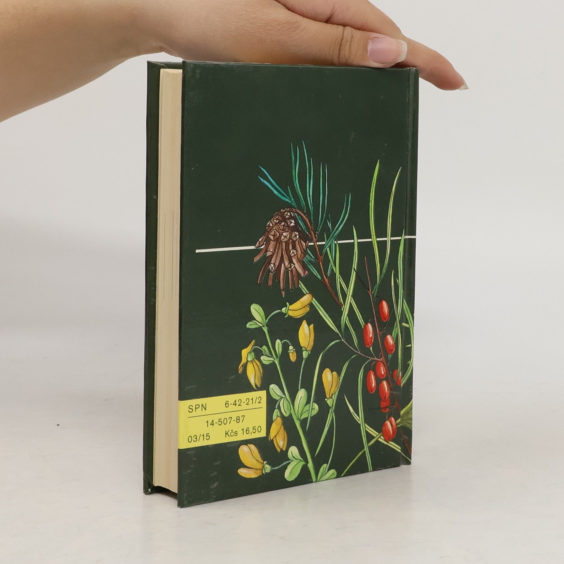 Miloš Pozděna Klíč k určování stromů a keřů