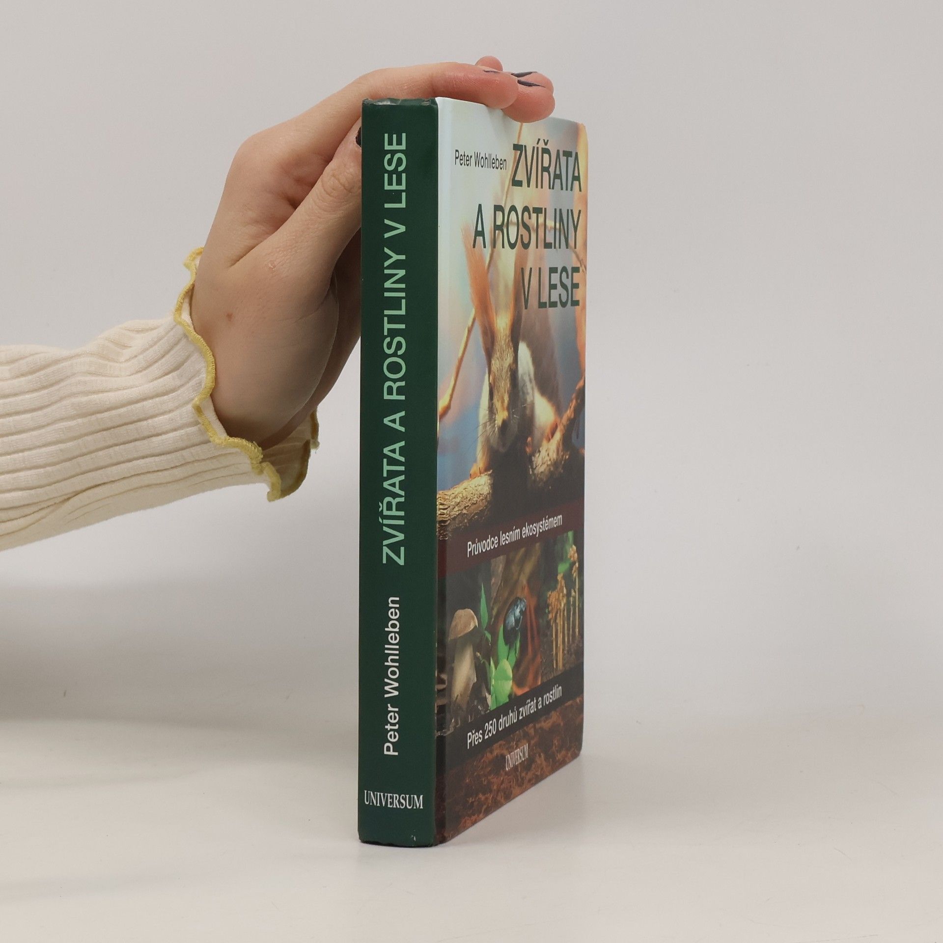 Peter Wohlleben Zvířata a rostliny v lese : průvodce lesním ekosystémem : přes 250 druhů zvířat a rostlin