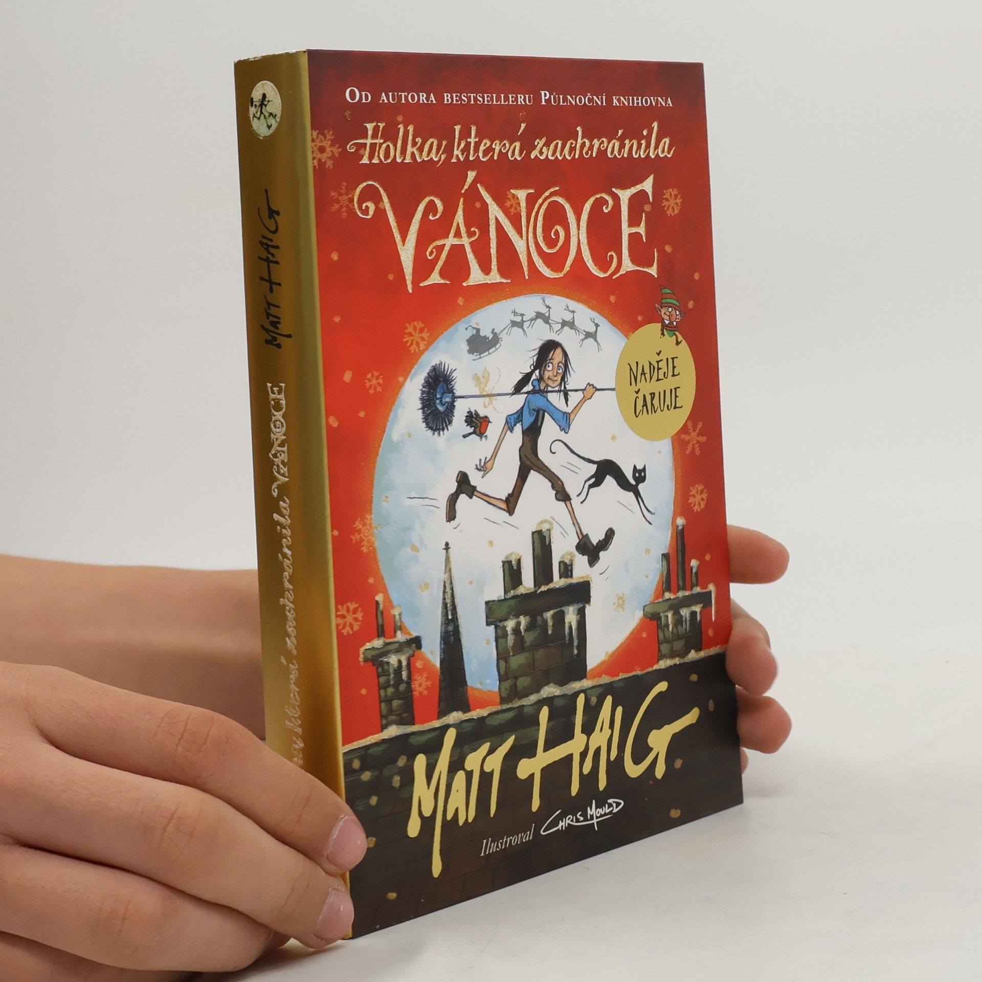 Holka, která zachránila Vánoce