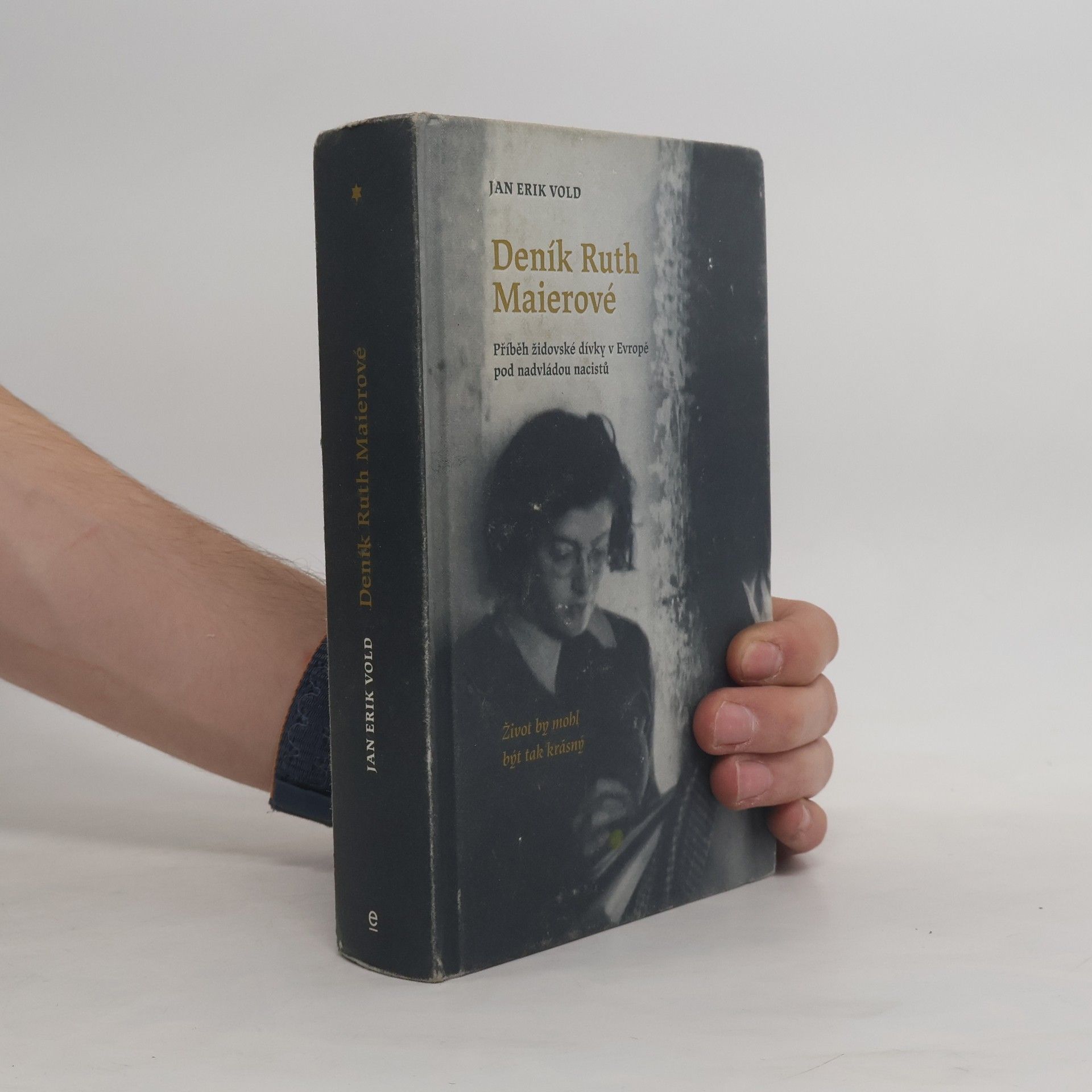 Jan Erik Vold Deník Ruth Maierové