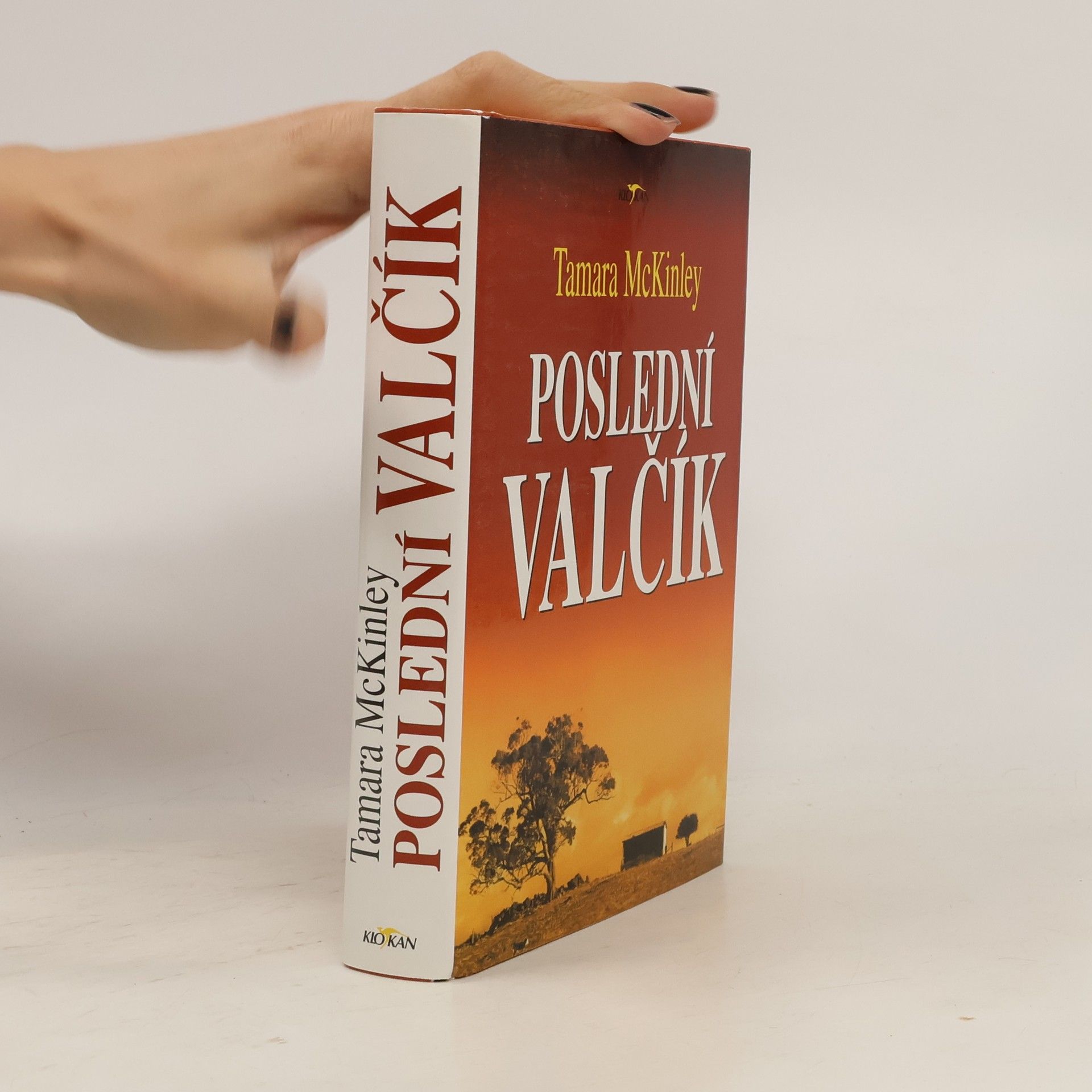 Tamara McKinley Poslední valčík