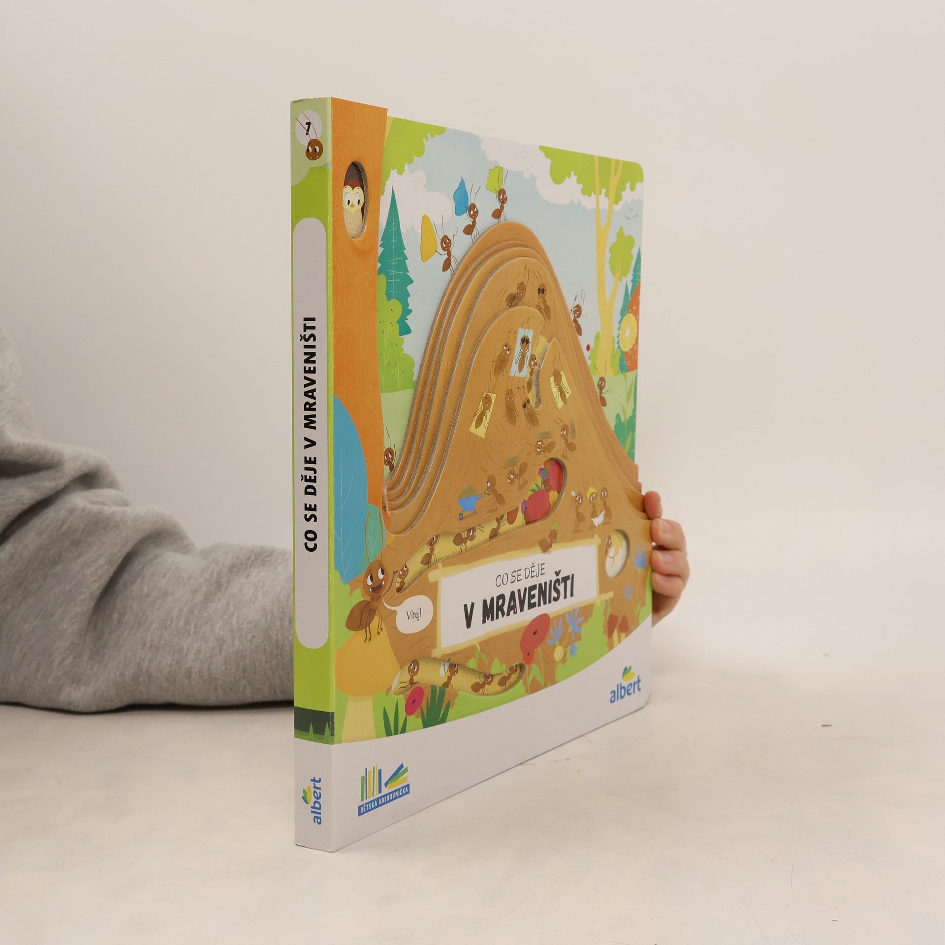 Kolektív autorov Co se děje v mraveništi