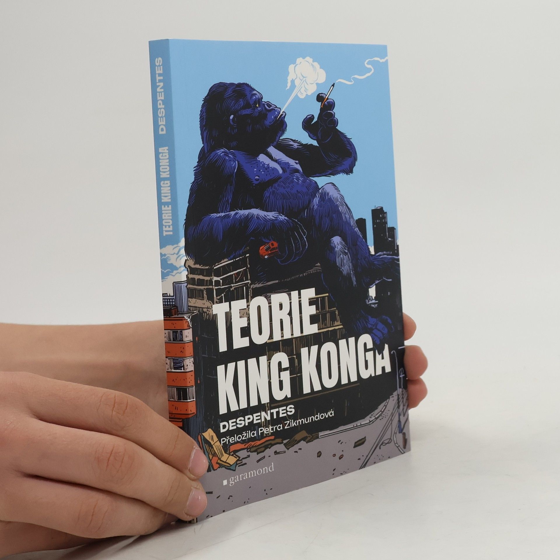 Virginie Despentes Teorie King Konga