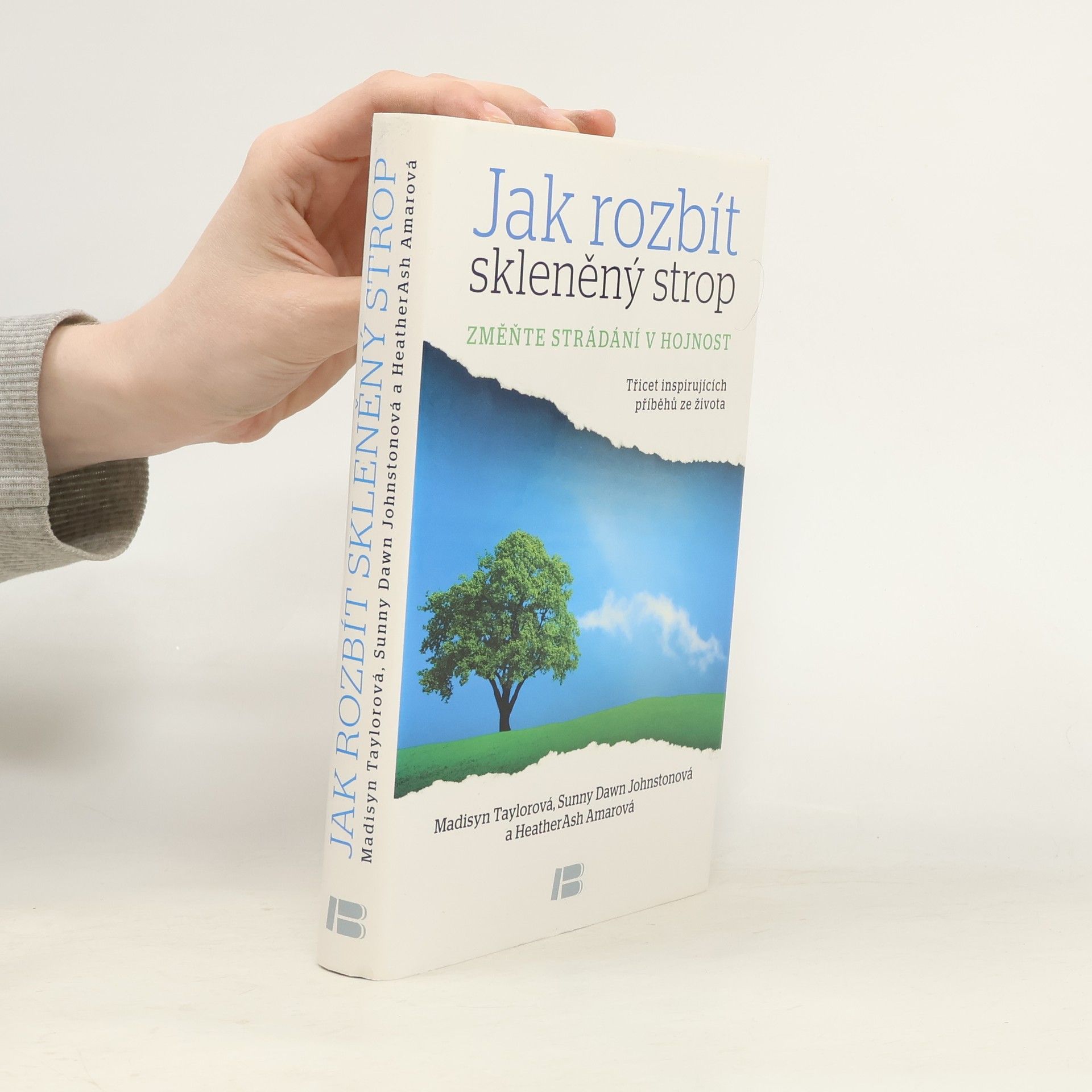 Heather Ash Amara Jak rozbít skleněný strop