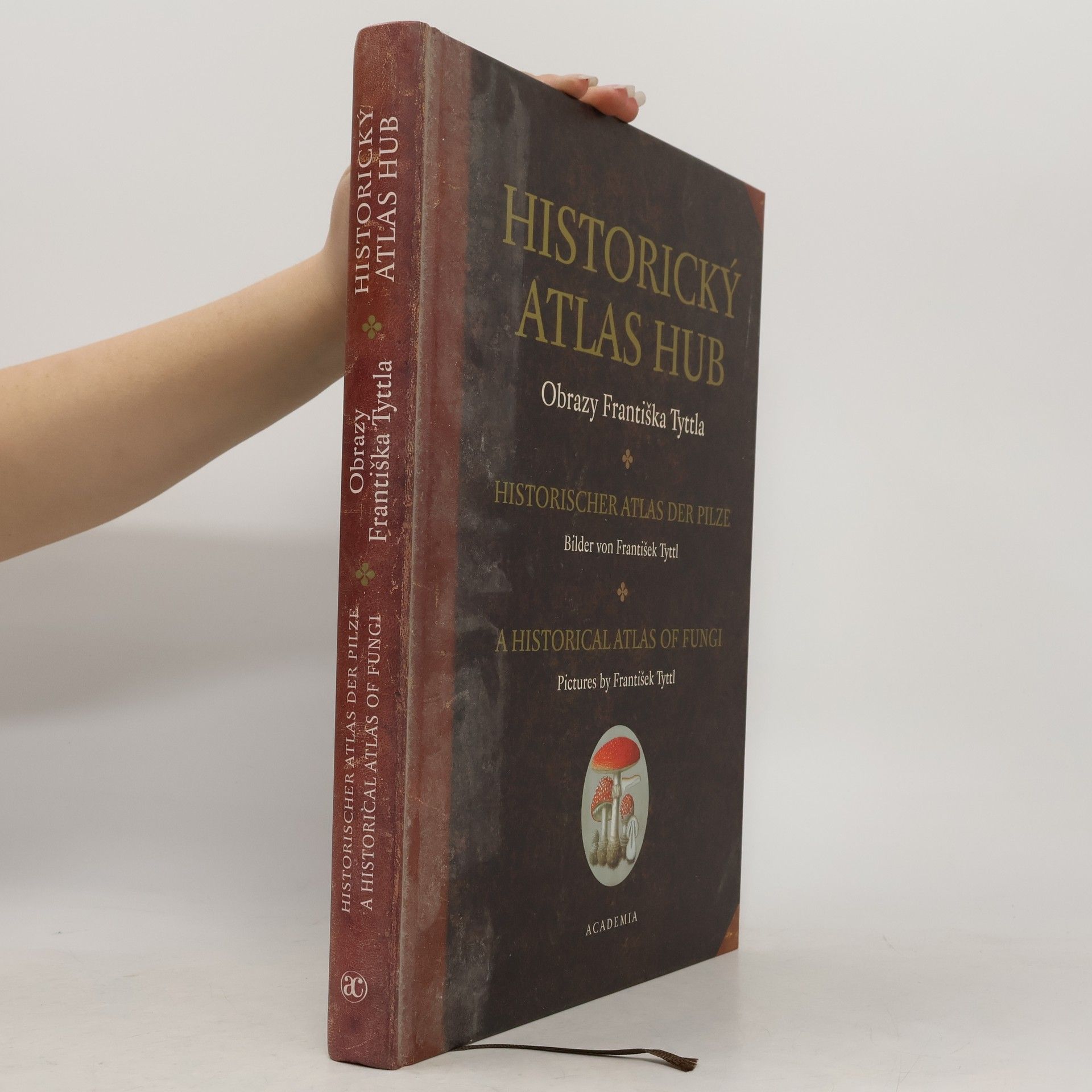 Jaroslava Nesvadbová Historický atlas hub - Obrazy Františka Tyttla