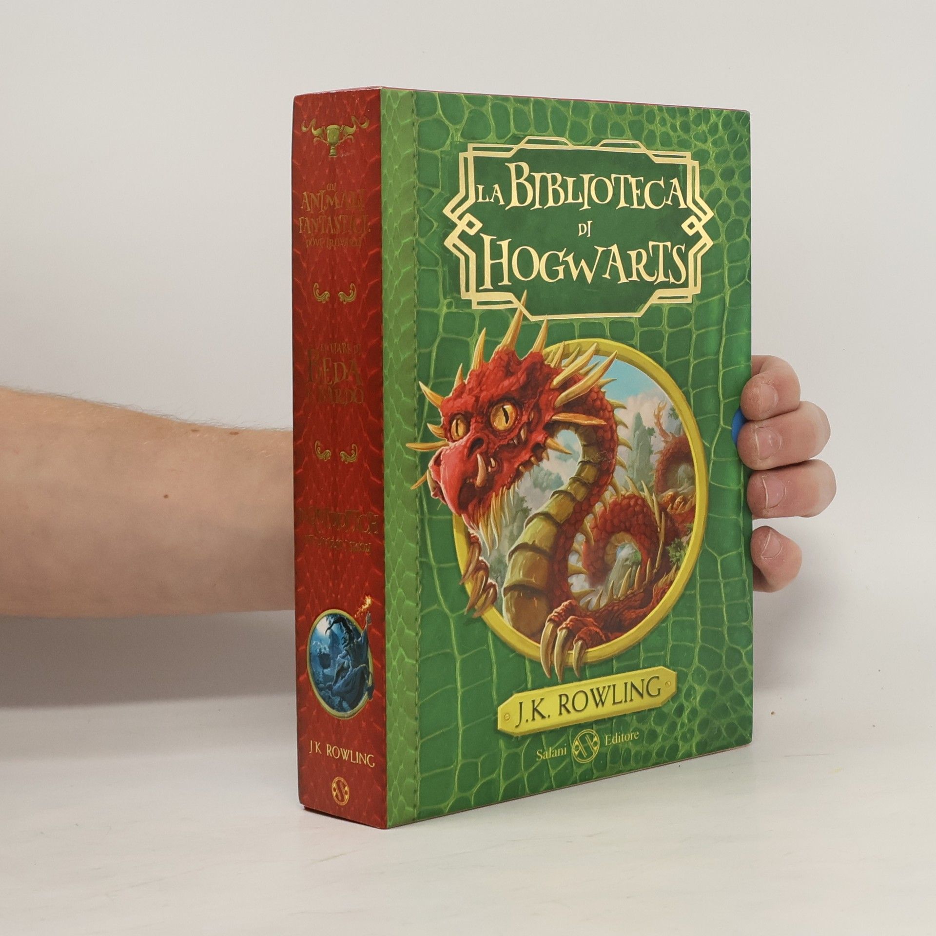 Beatrice Masini La biblioteca di Hogwarts