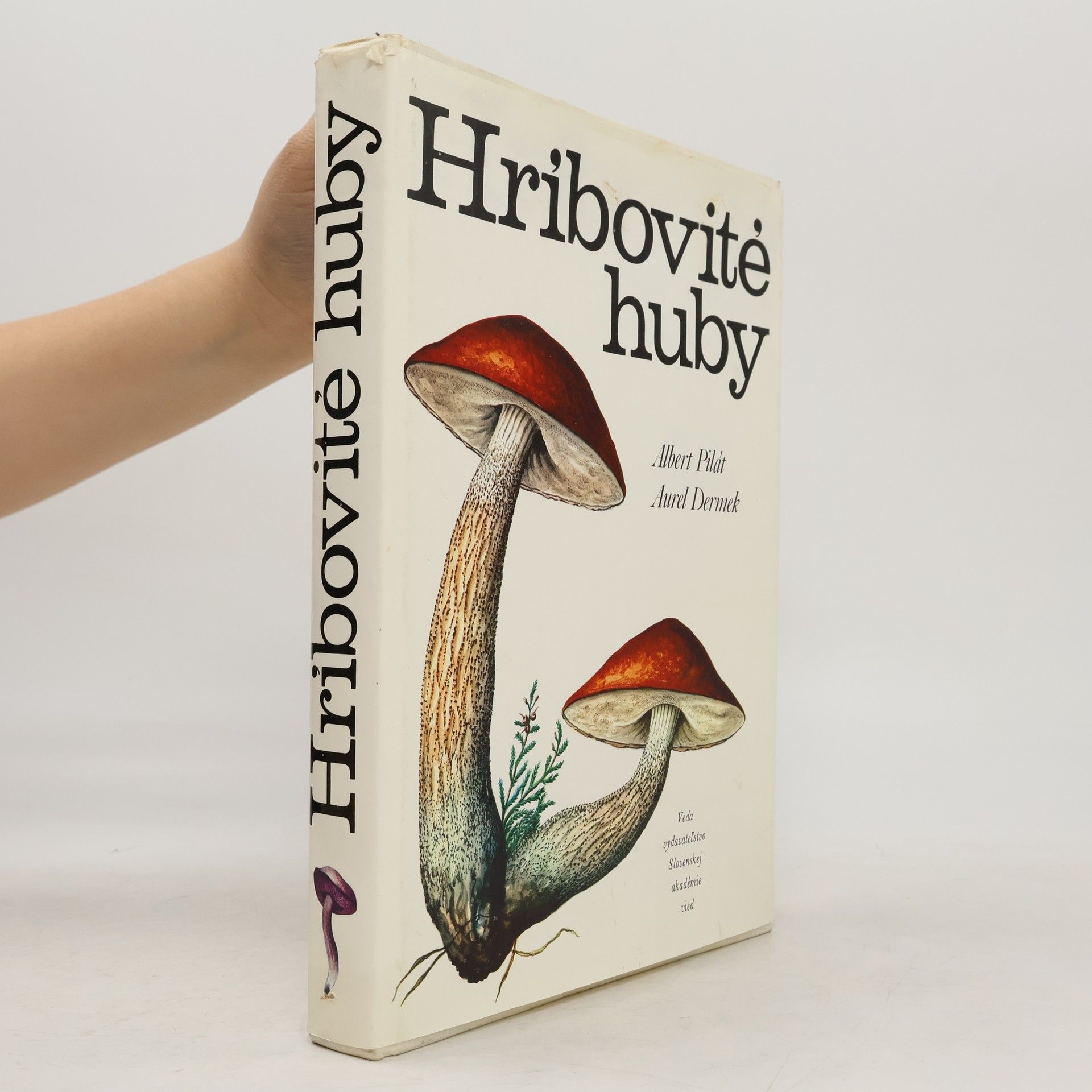 Aurel Dermek Hríbovité huby