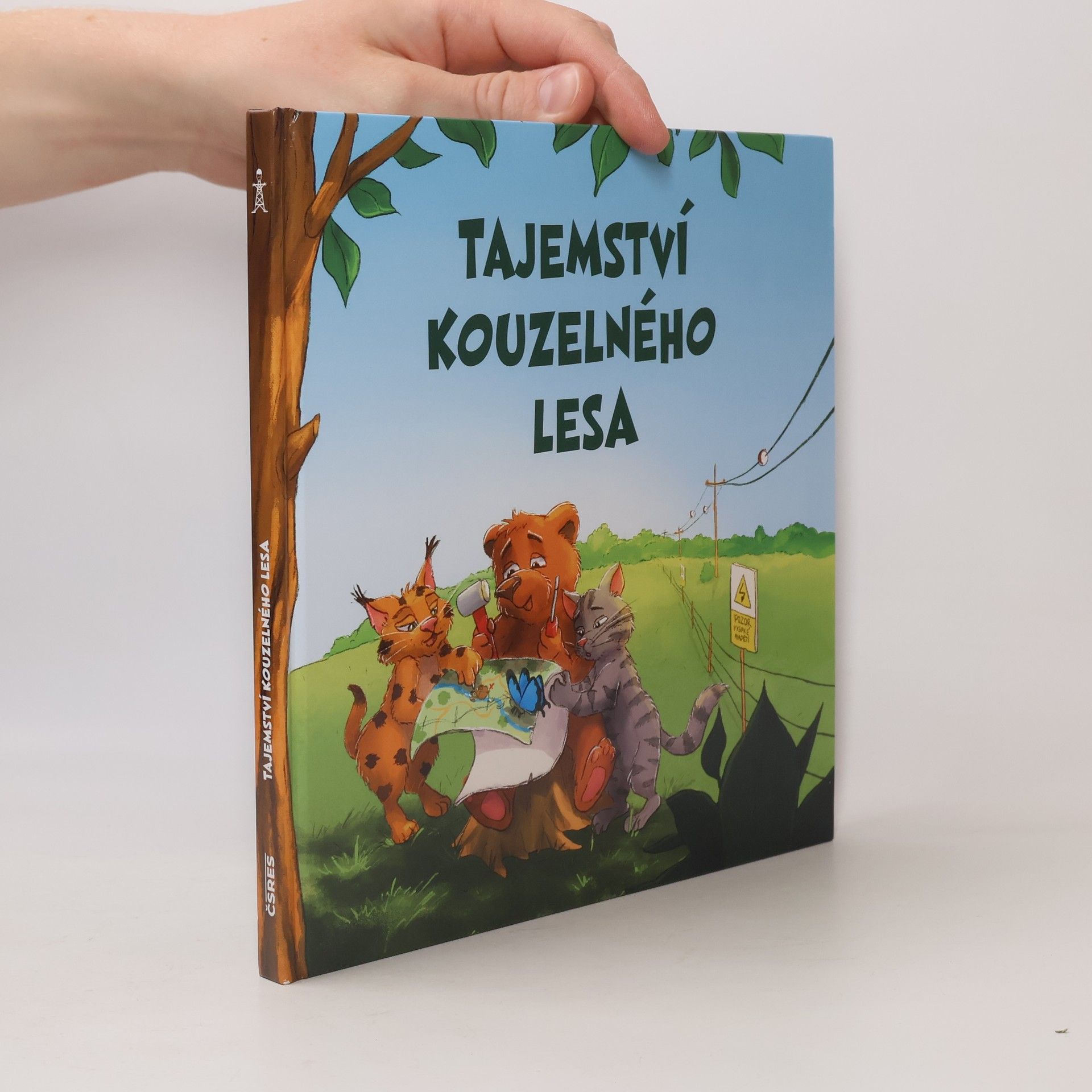 Petr Albert Tajemství kouzelného lesa